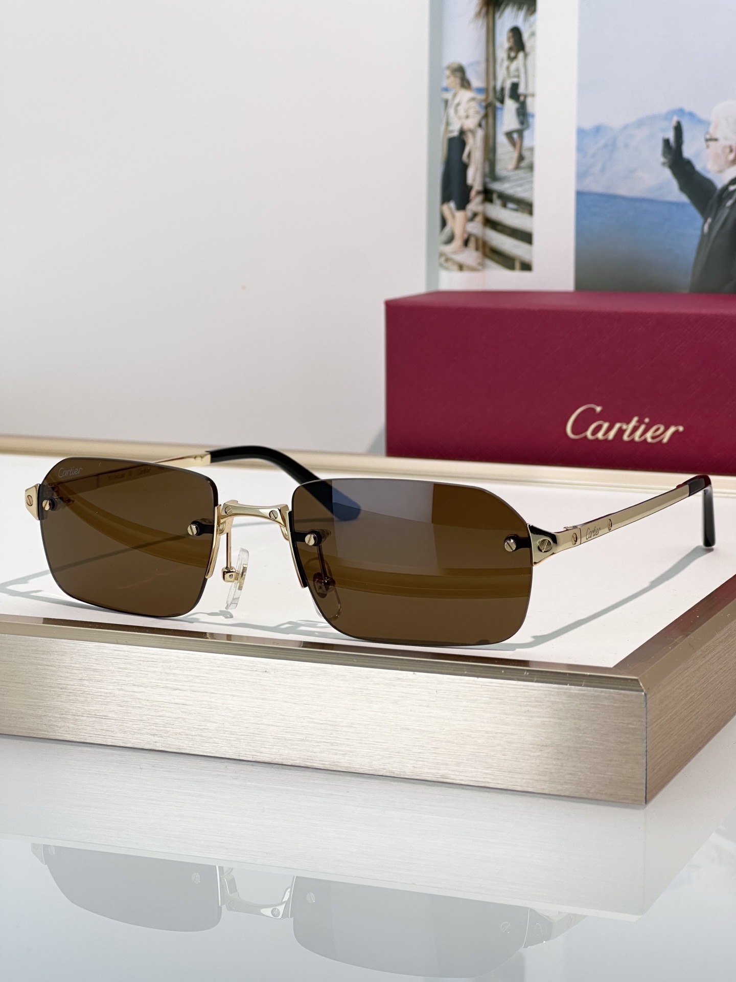 Designer Sunglasses CT0460S