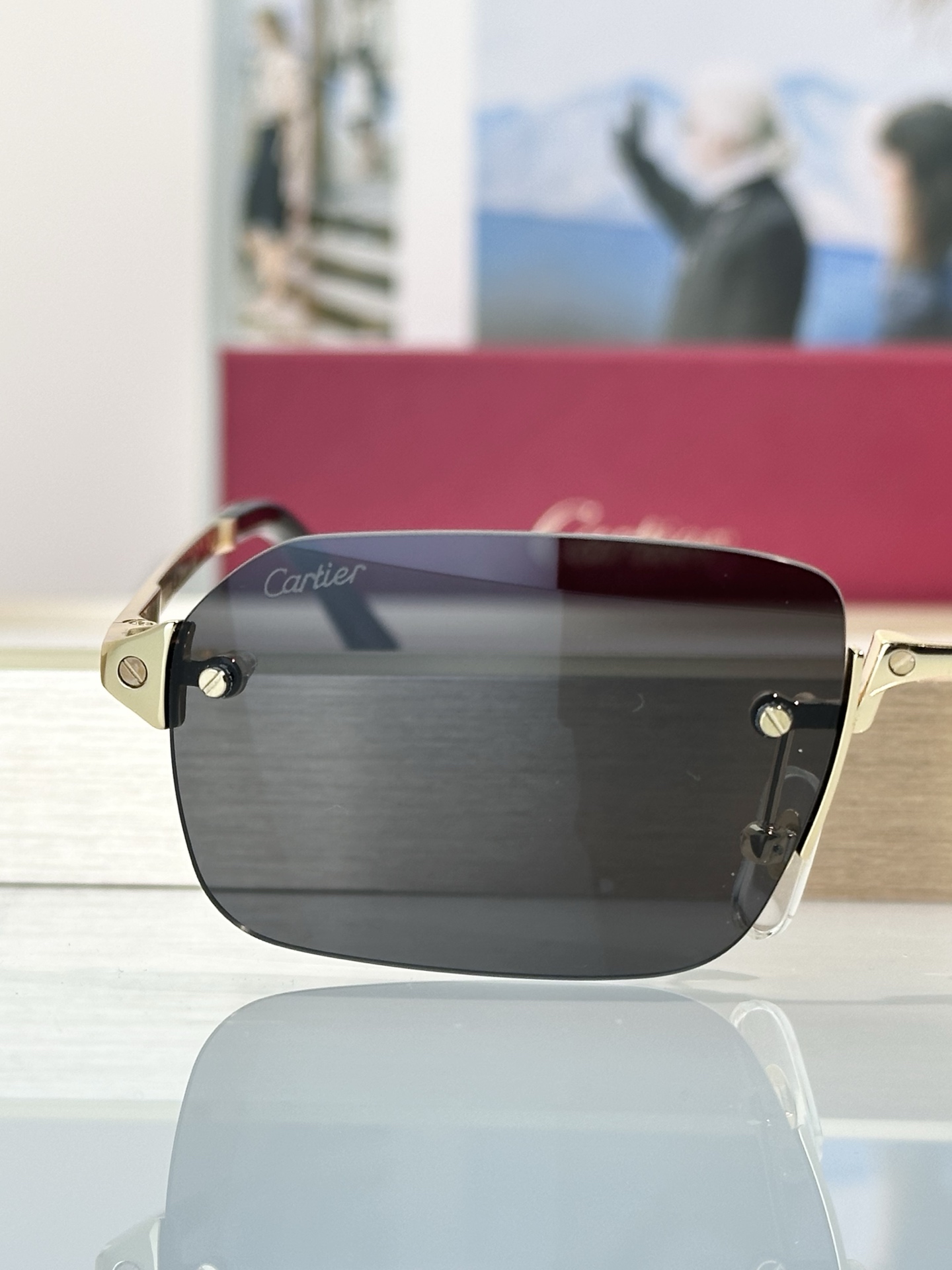 Designer Sunglasses CT0460S