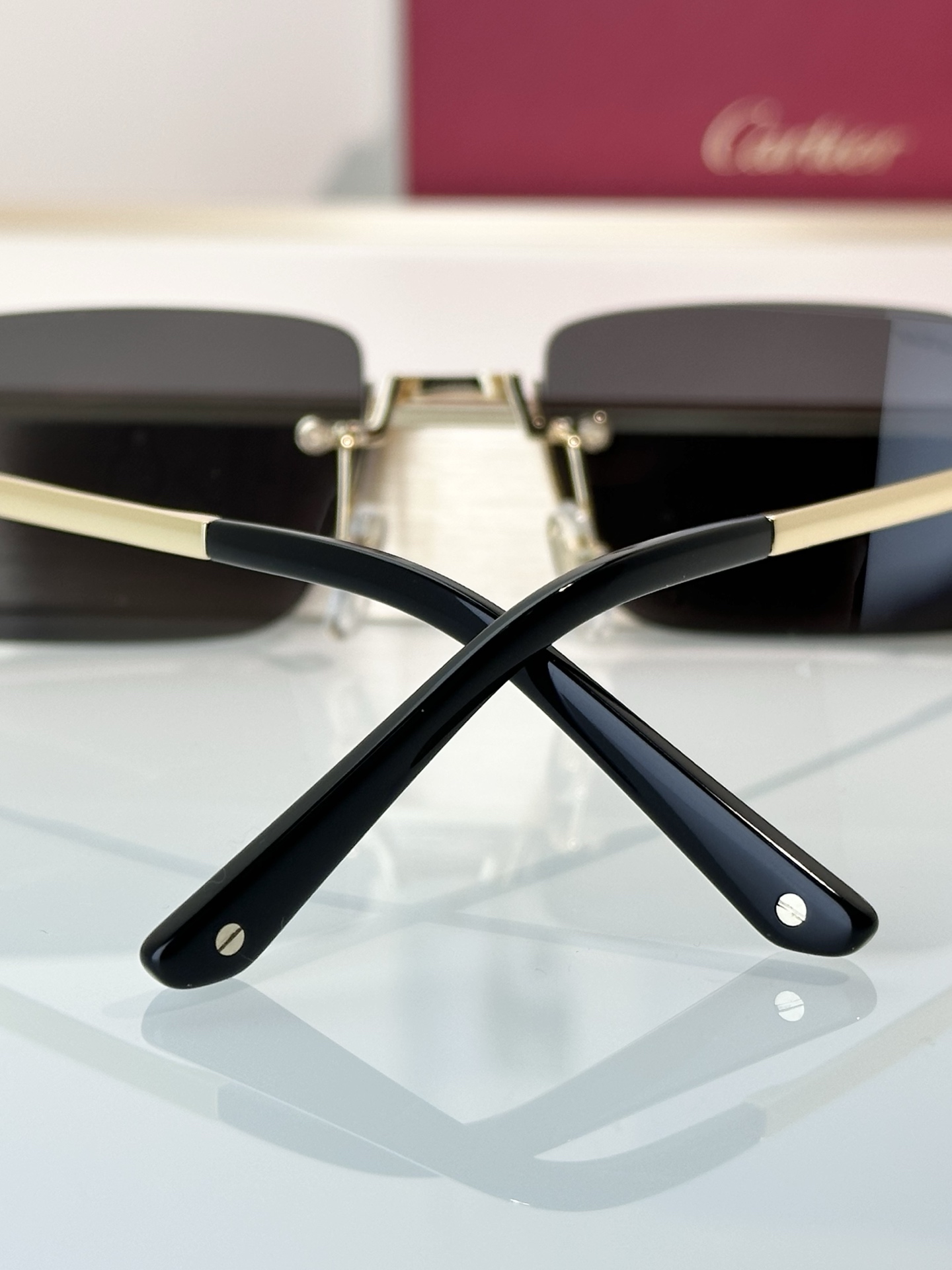 Designer Sunglasses CT0460S