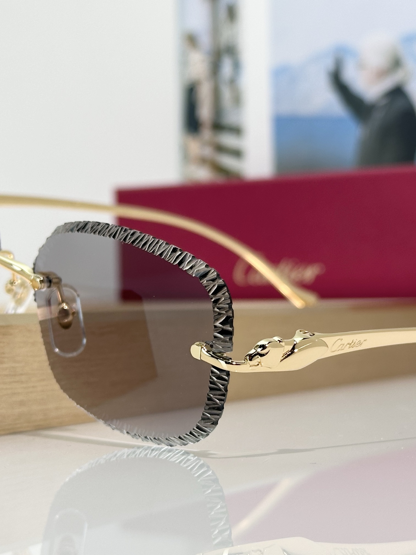 Designer Sunglasses CT0832S