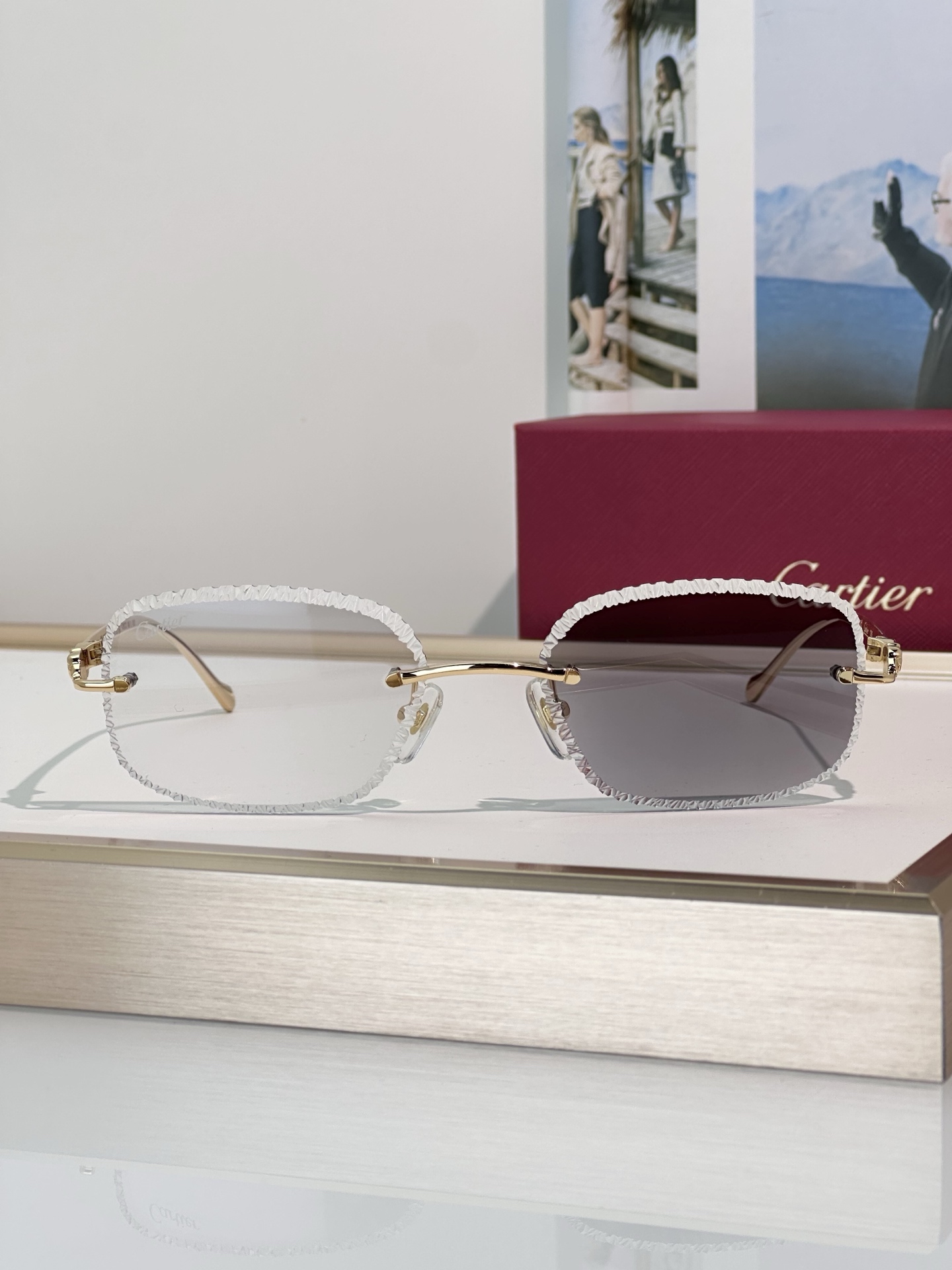 Designer Sunglasses CT0832S