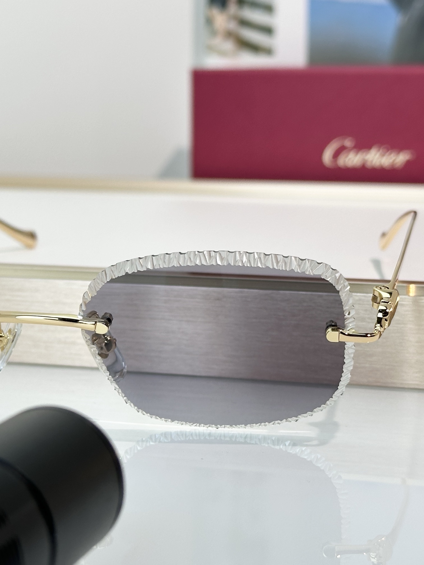 Designer Sunglasses CT0832S