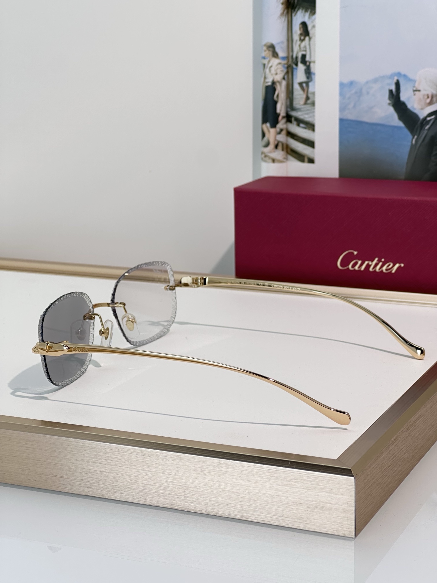 Designer Sunglasses CT0832S