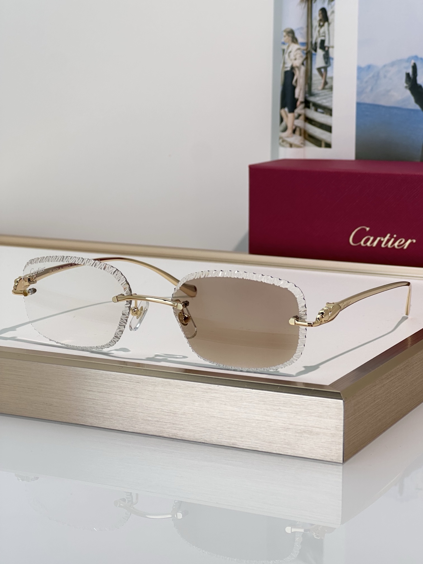 Designer Sunglasses CT0832S