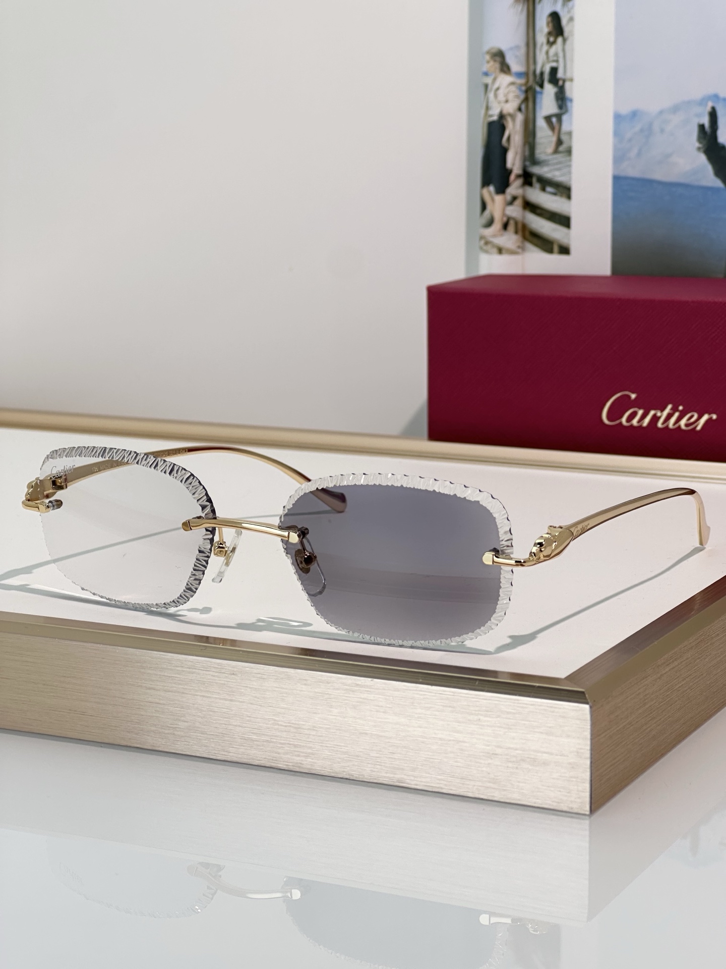 Designer Sunglasses CT0832S
