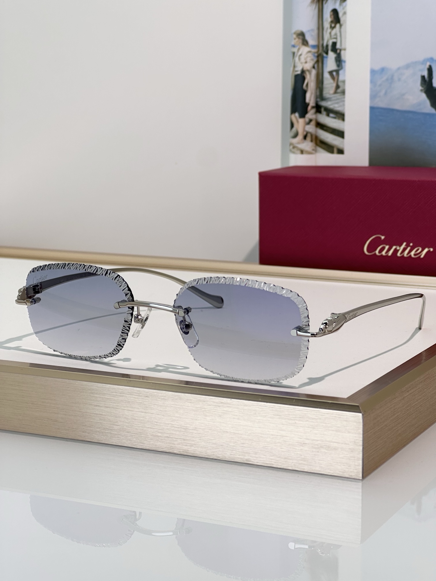 Designer Sunglasses CT0832S