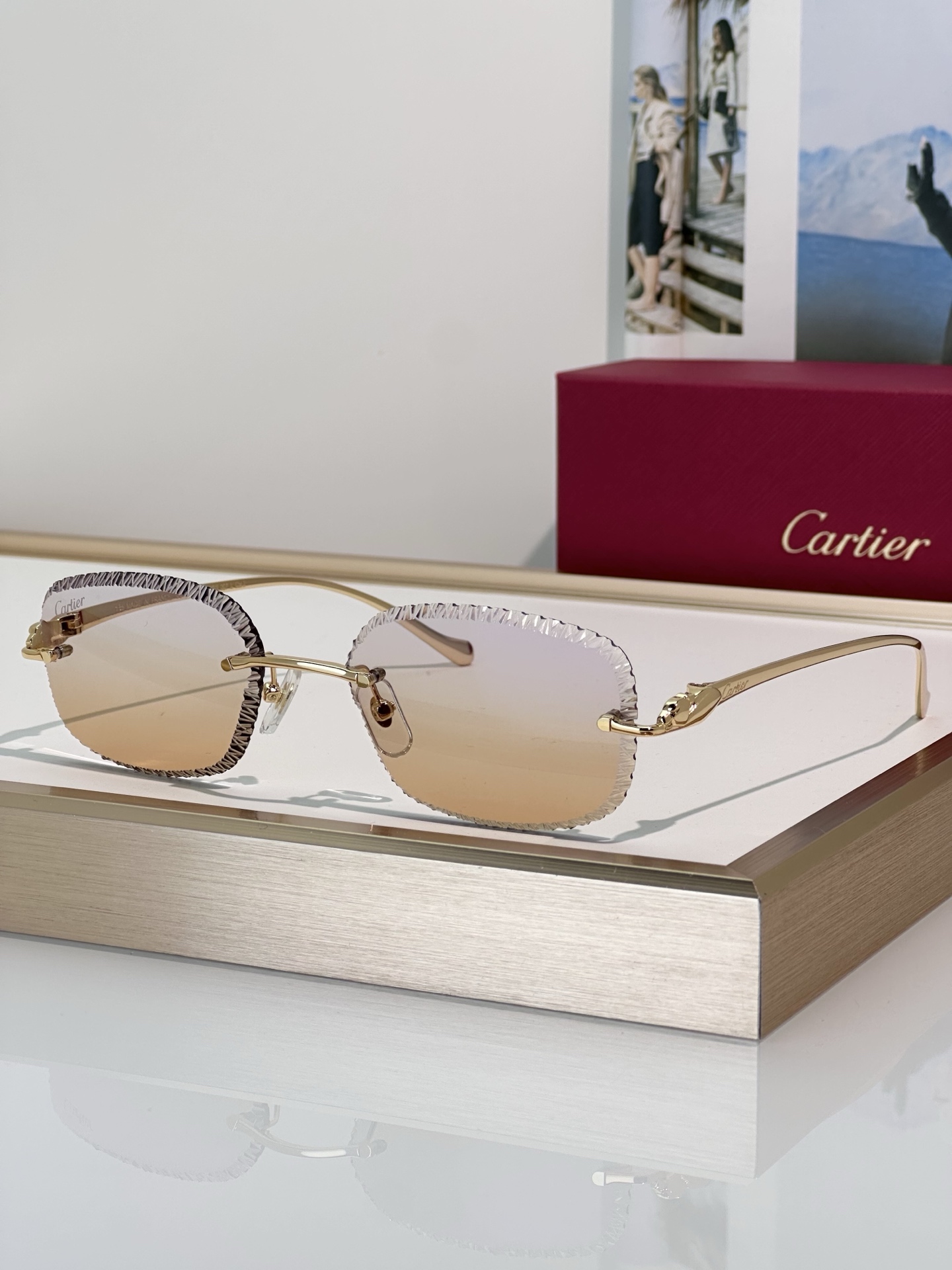 Designer Sunglasses CT0832S