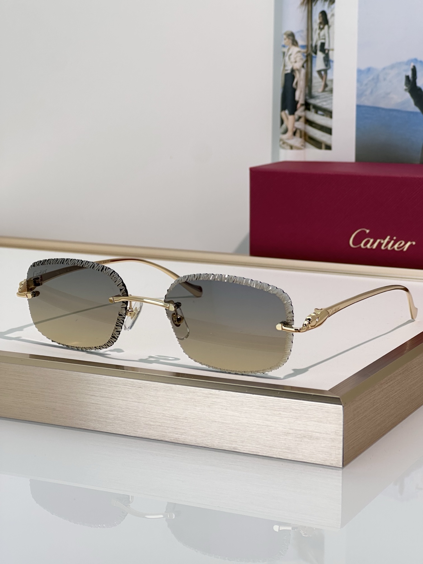 Designer Sunglasses CT0832S