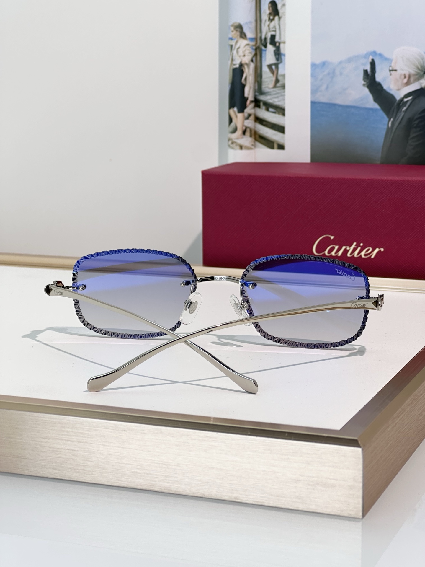 Designer Sunglasses CT0832S