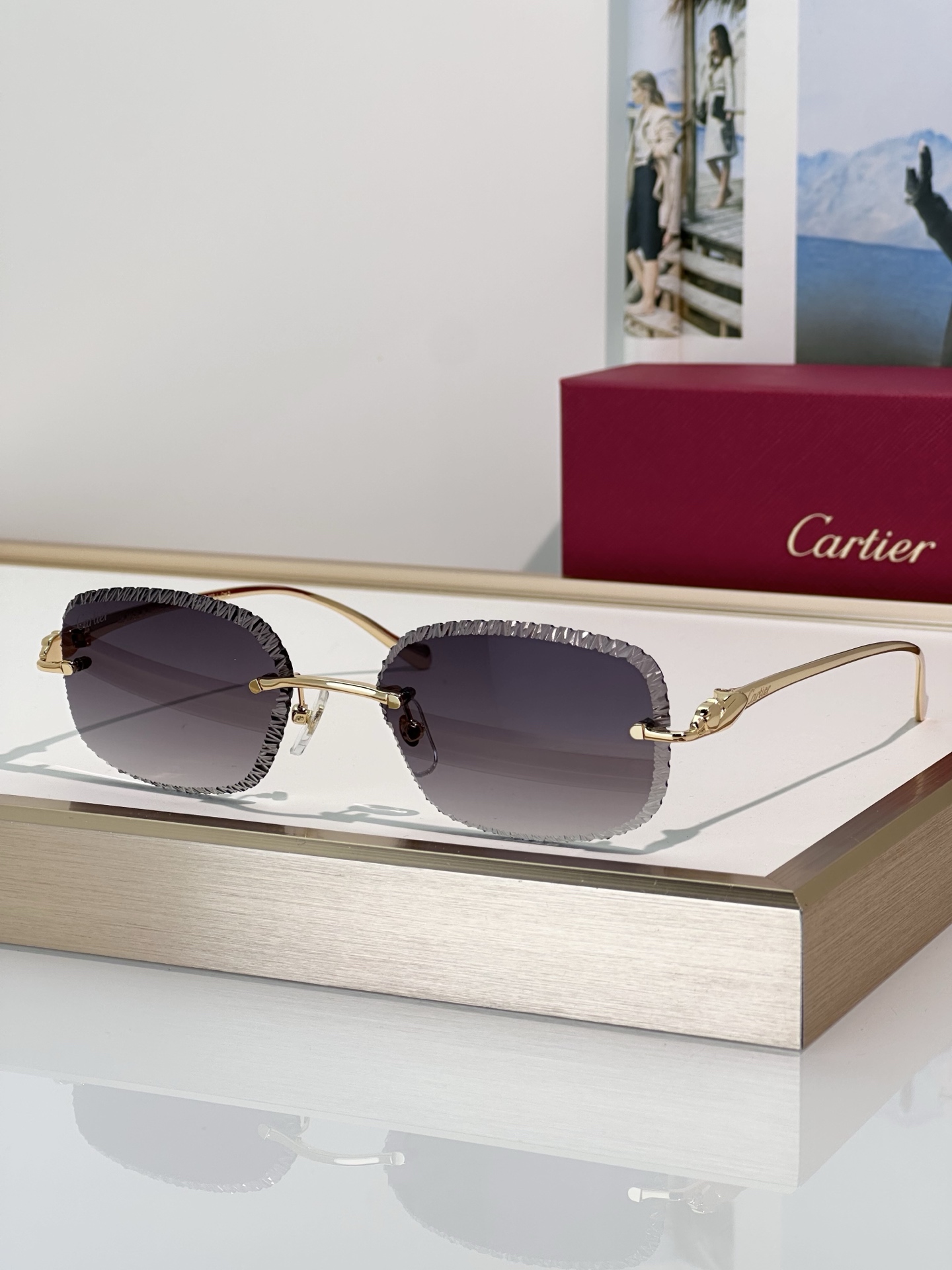 Designer Sunglasses CT0832S