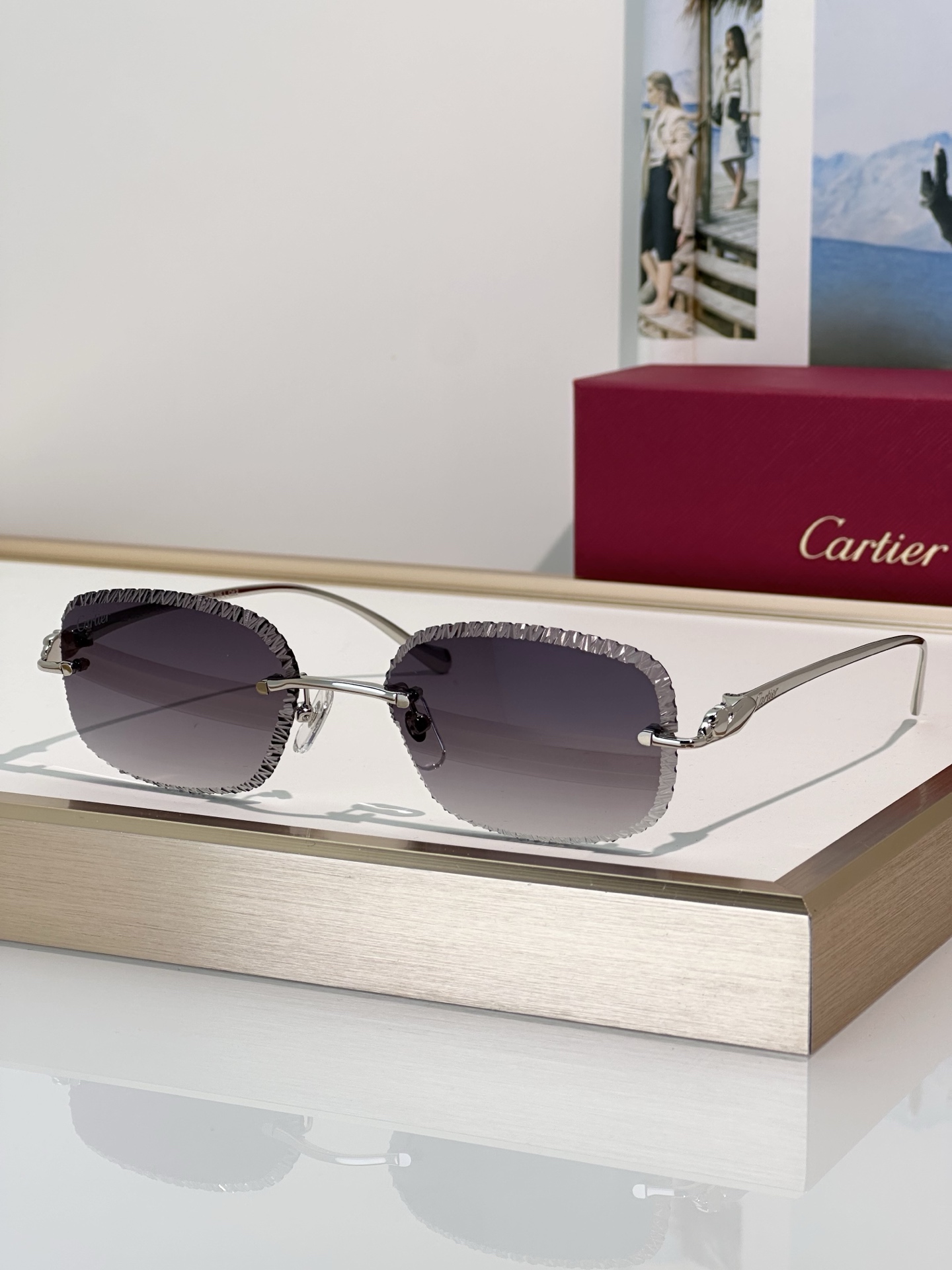 Designer Sunglasses CT0832S