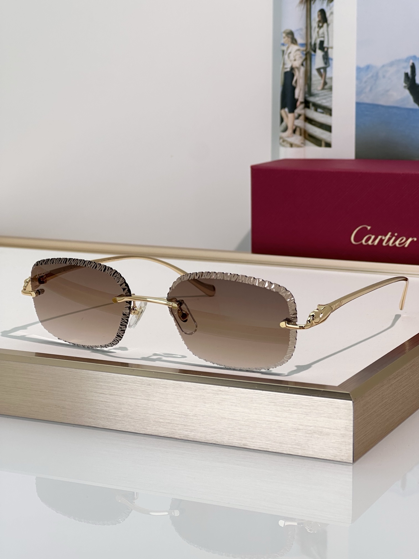 Designer Sunglasses CT0832S
