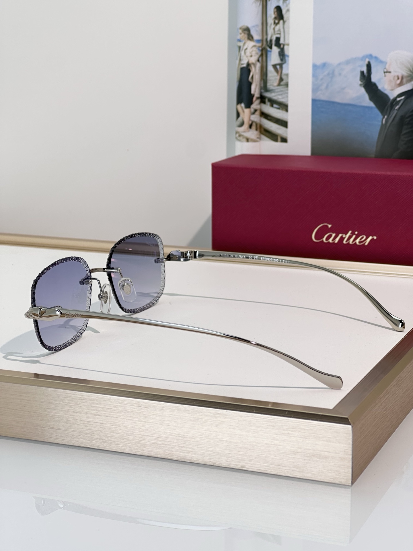 Designer Sunglasses CT0832S
