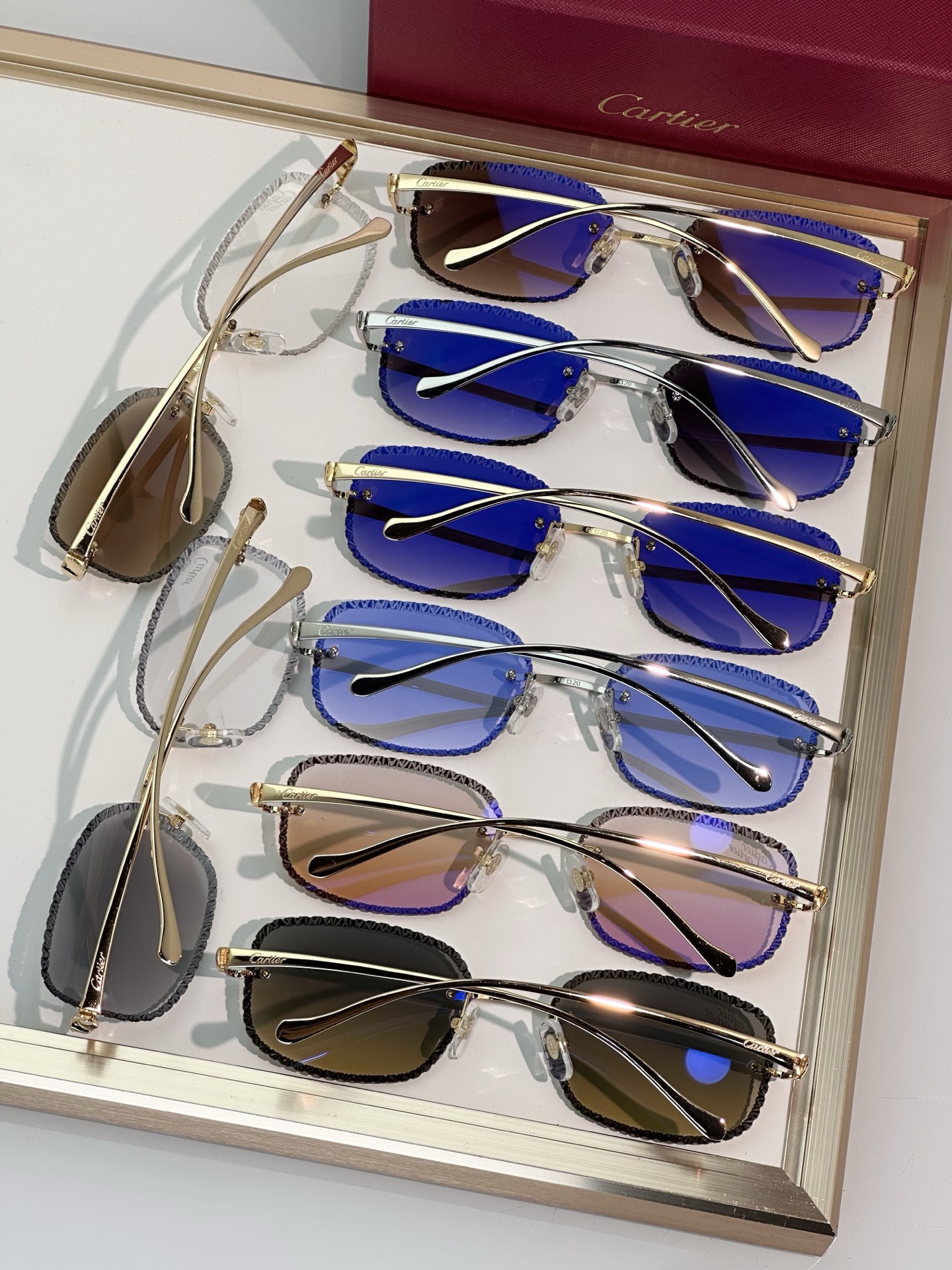 Designer Sunglasses CT0832S
