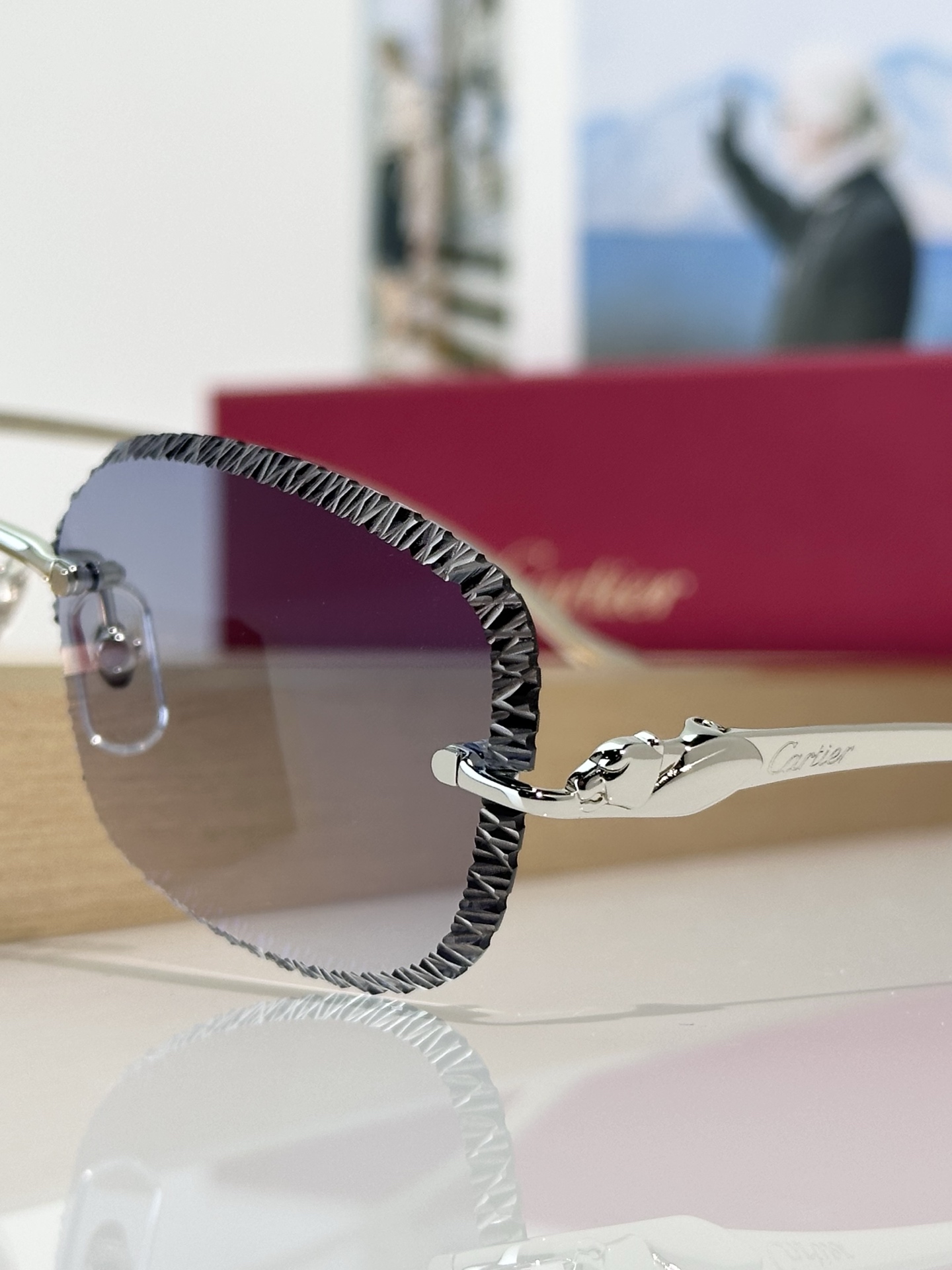 Designer Sunglasses CT0832S