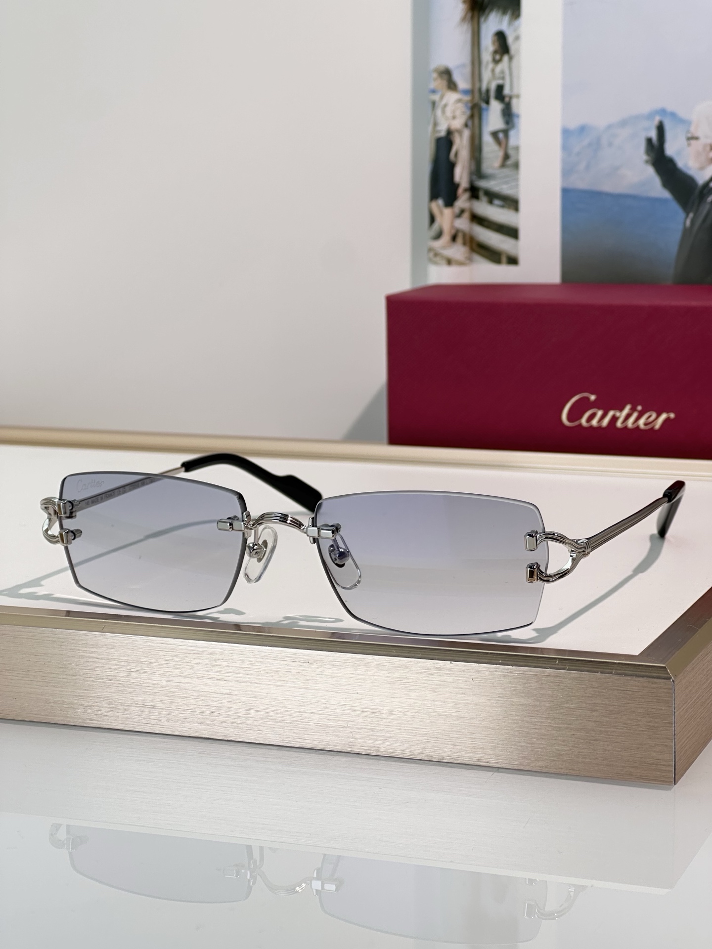 Designer Sunglasses CT0550S