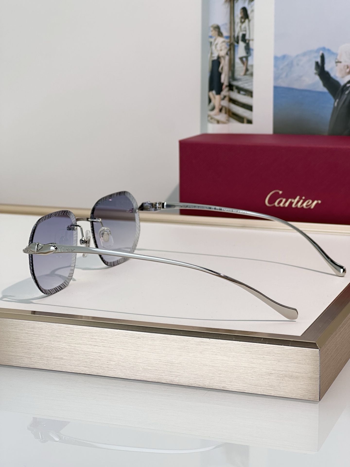 Designer Sunglasses CT0839S