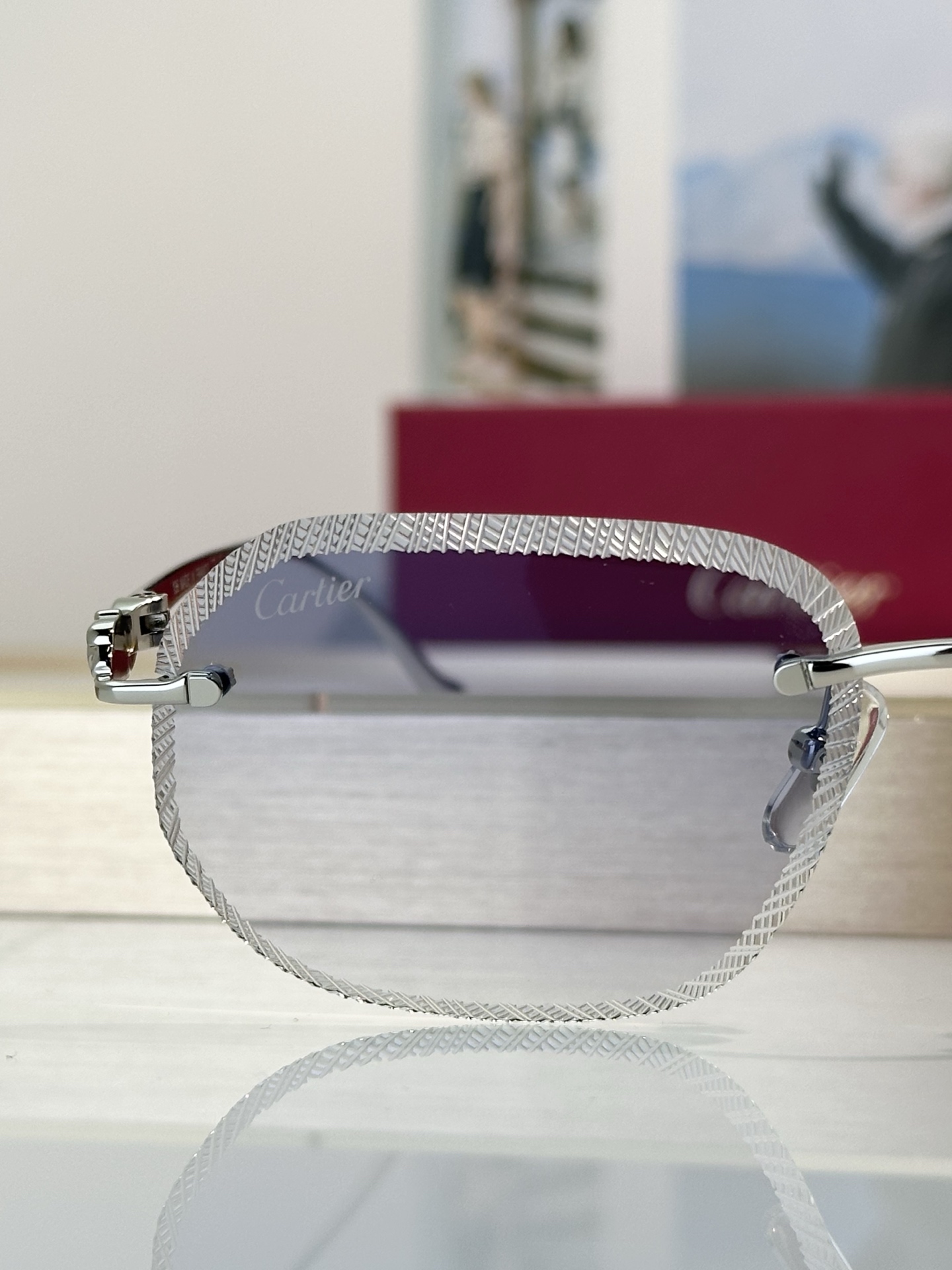 Designer Sunglasses CT0839S