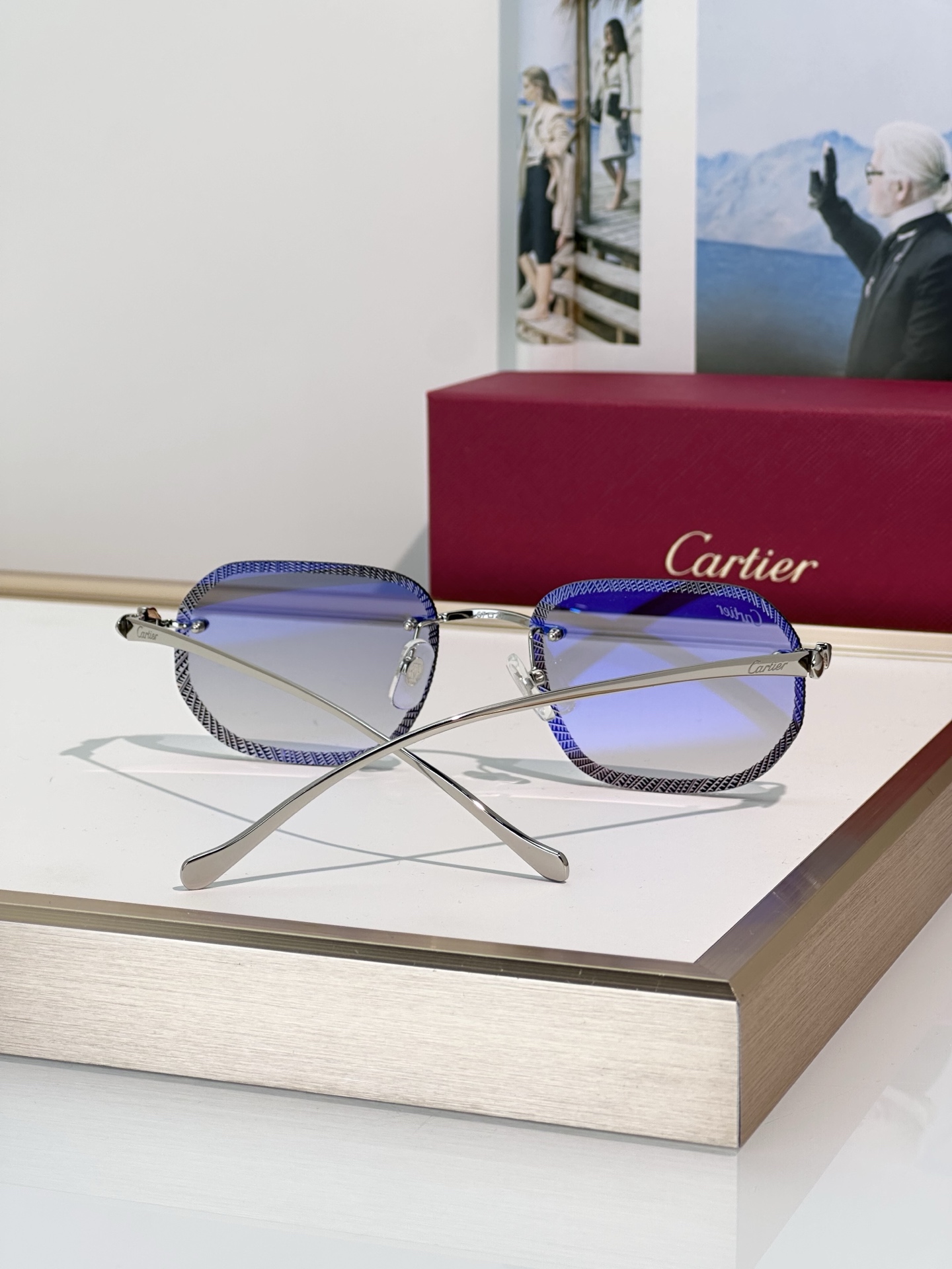 Designer Sunglasses CT0839S