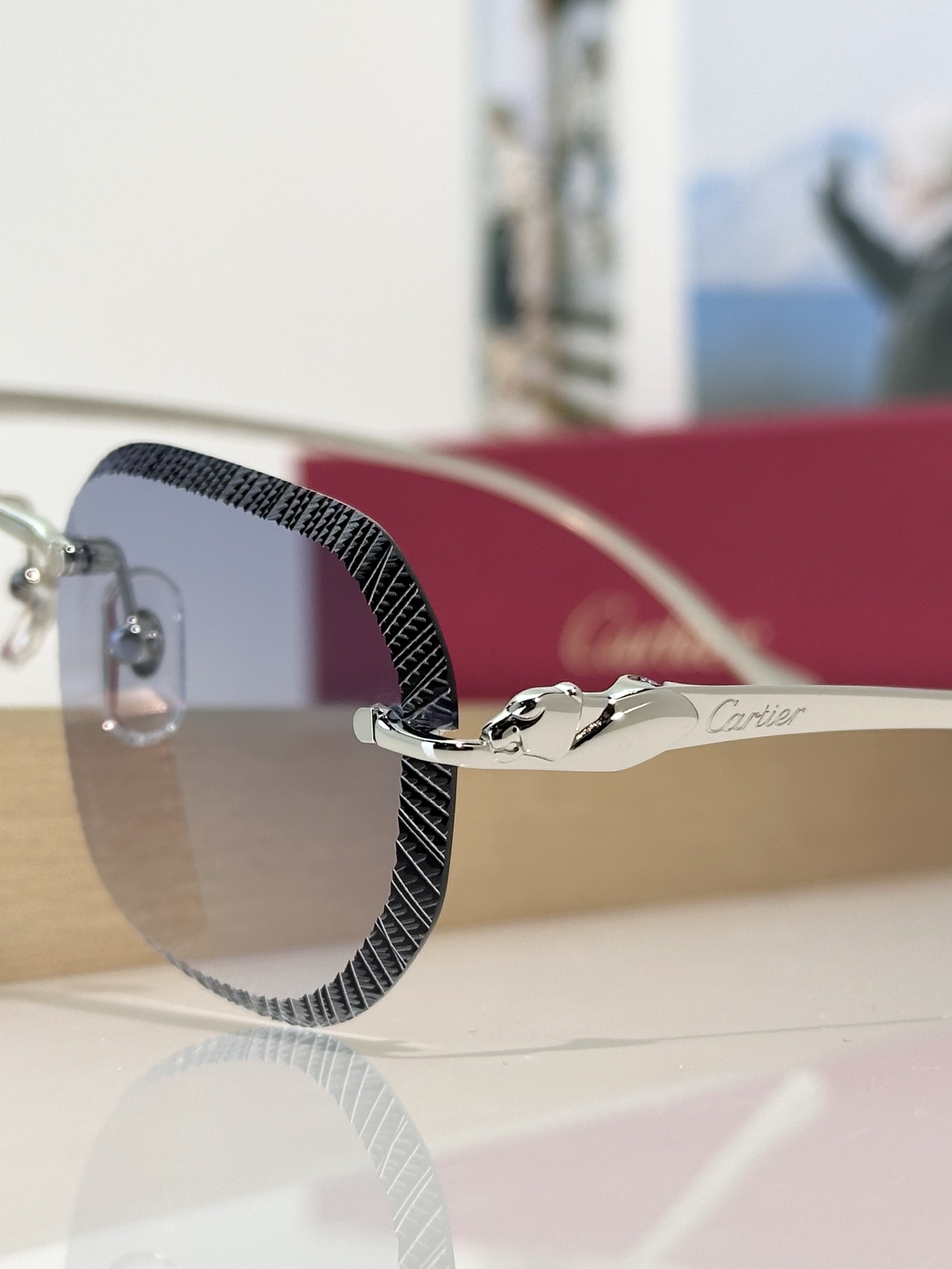 Designer Sunglasses CT0839S