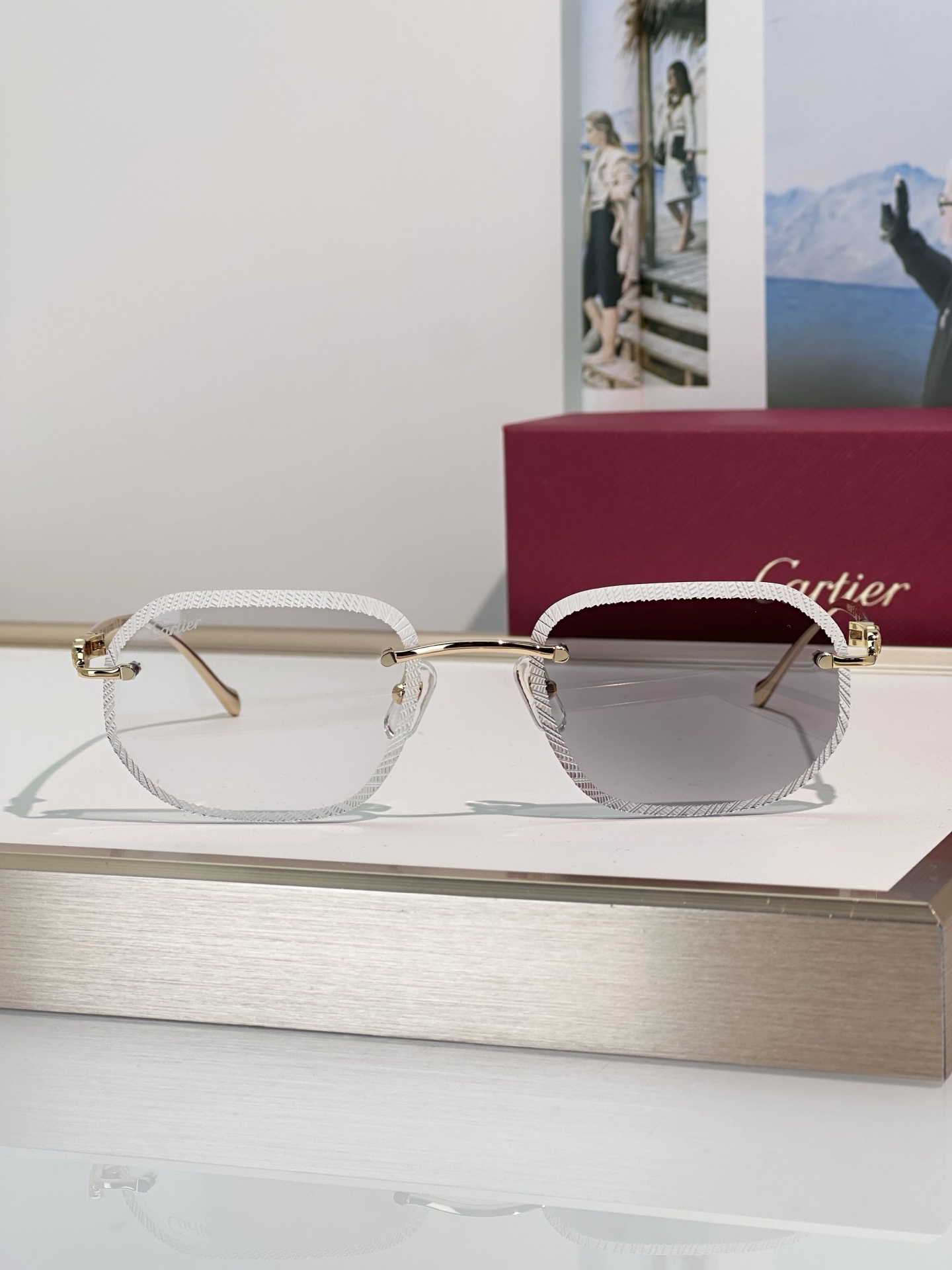 Designer Sunglasses CT0839S