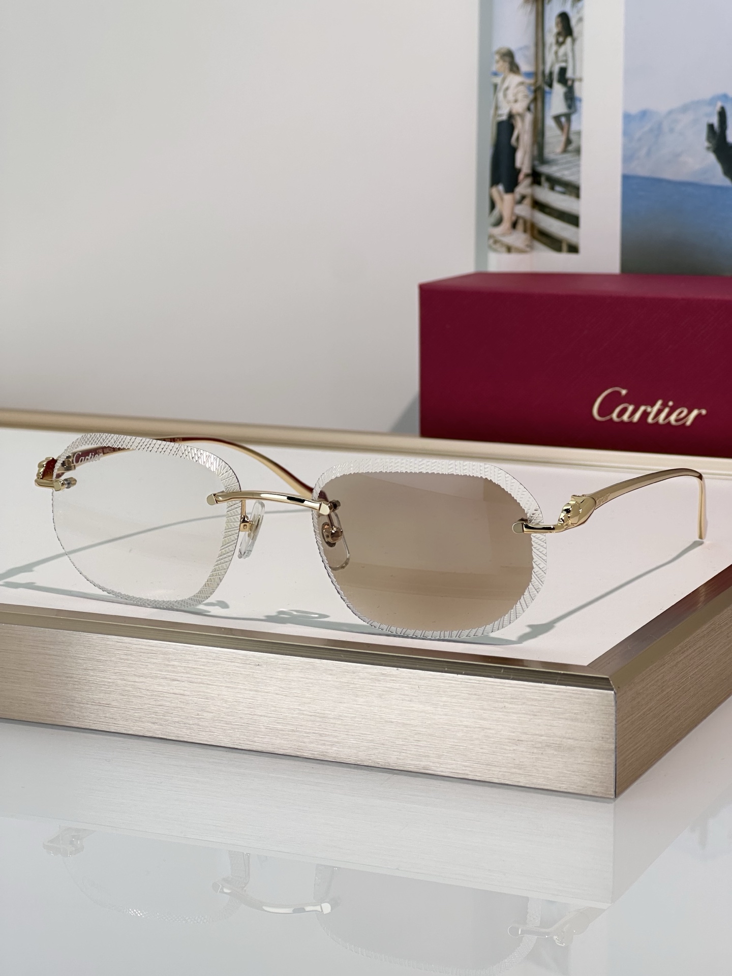 Designer Sunglasses CT0839S