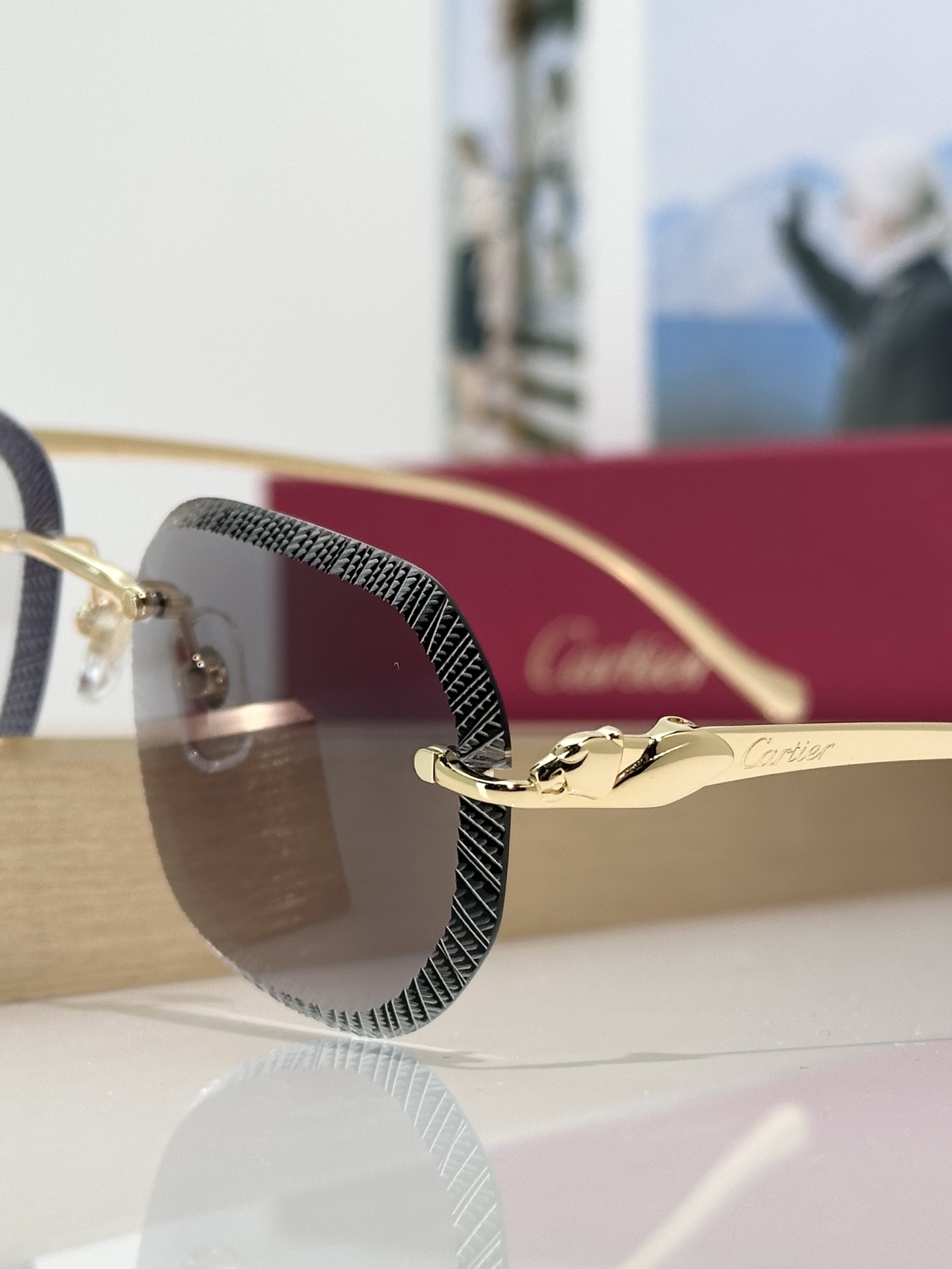 Designer Sunglasses CT0839S