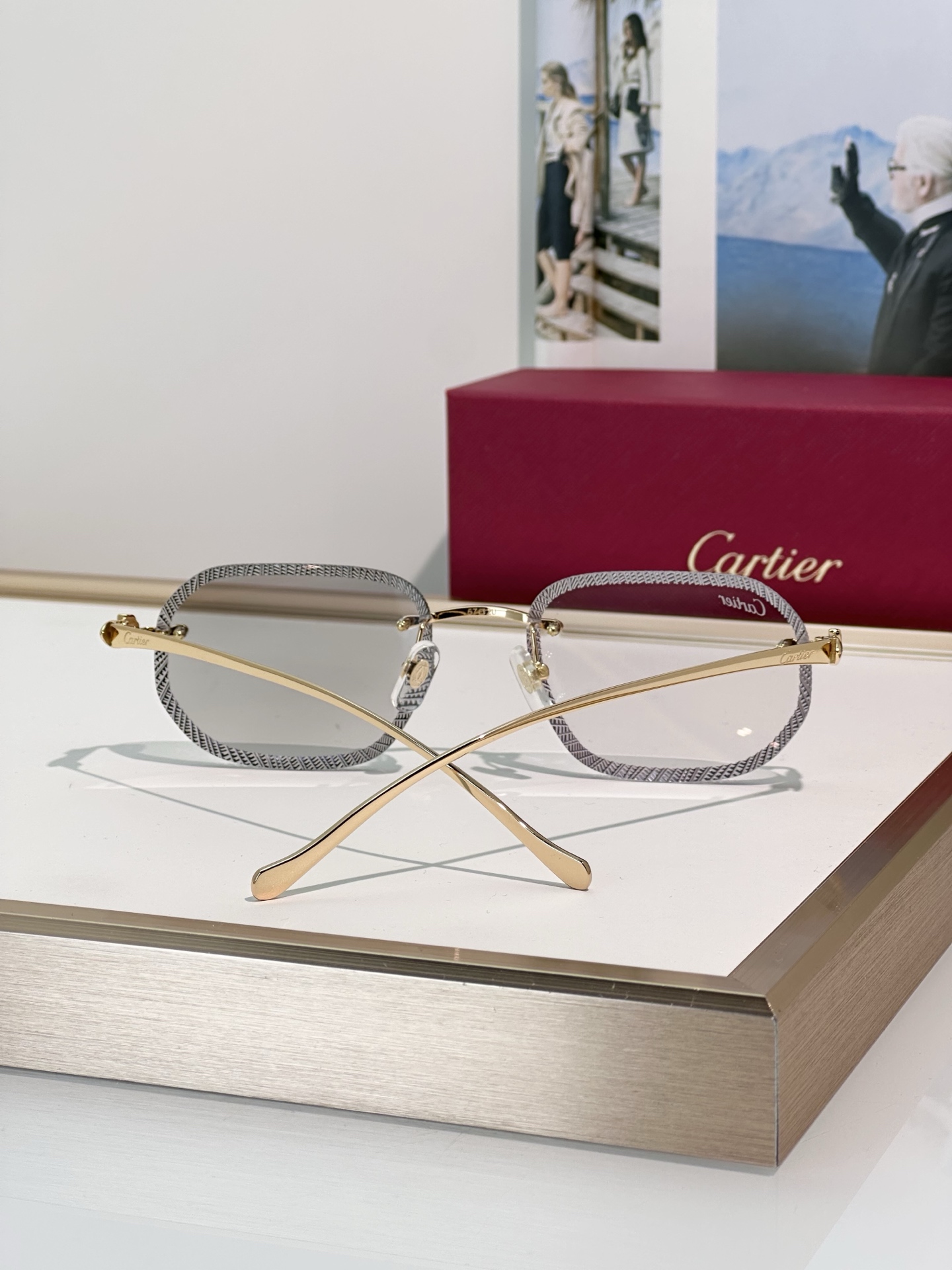 Designer Sunglasses CT0839S