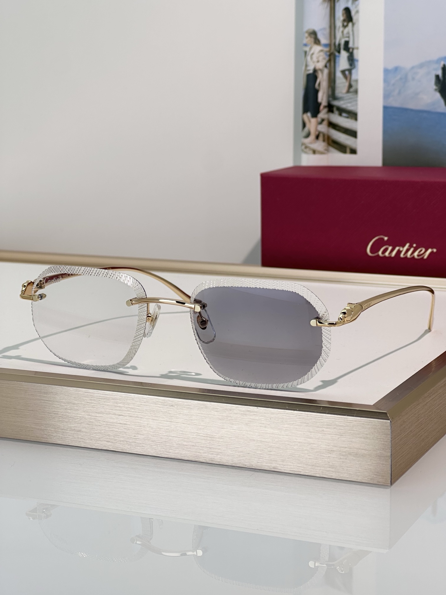 Designer Sunglasses CT0839S