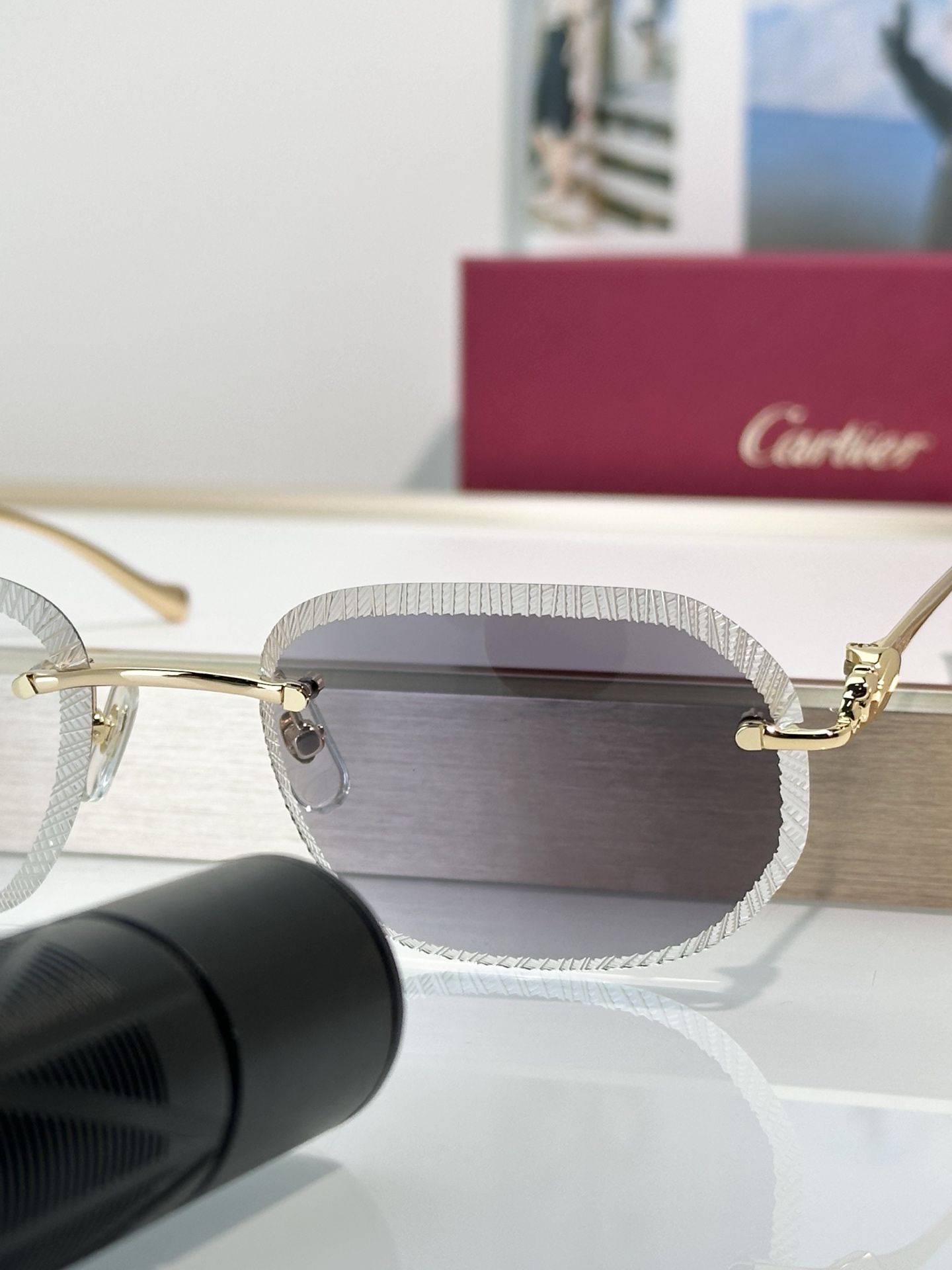 Designer Sunglasses CT0839S