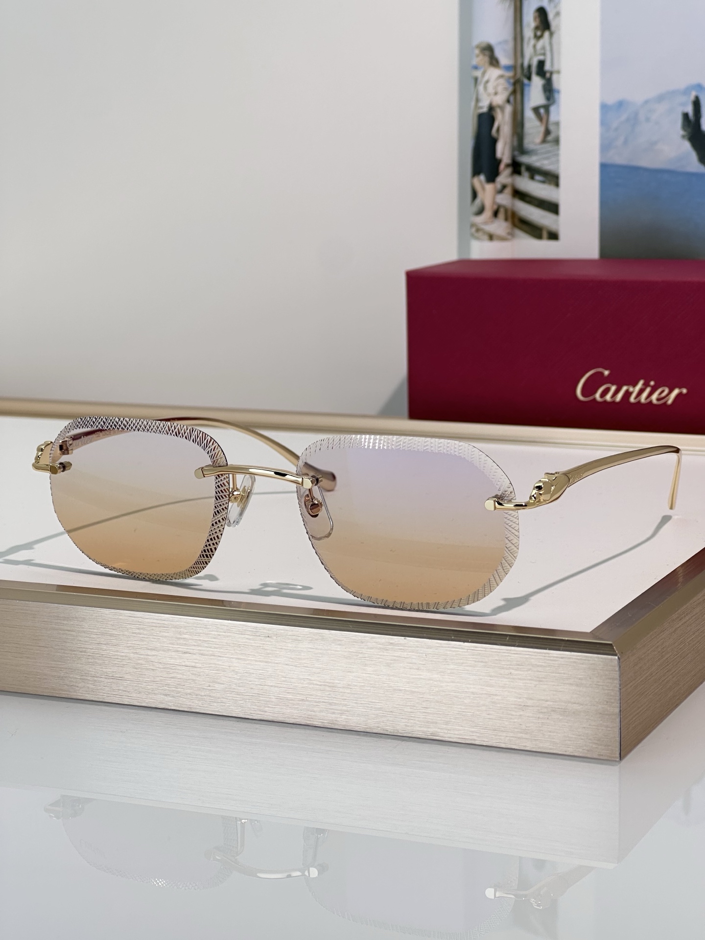 Designer Sunglasses CT0839S