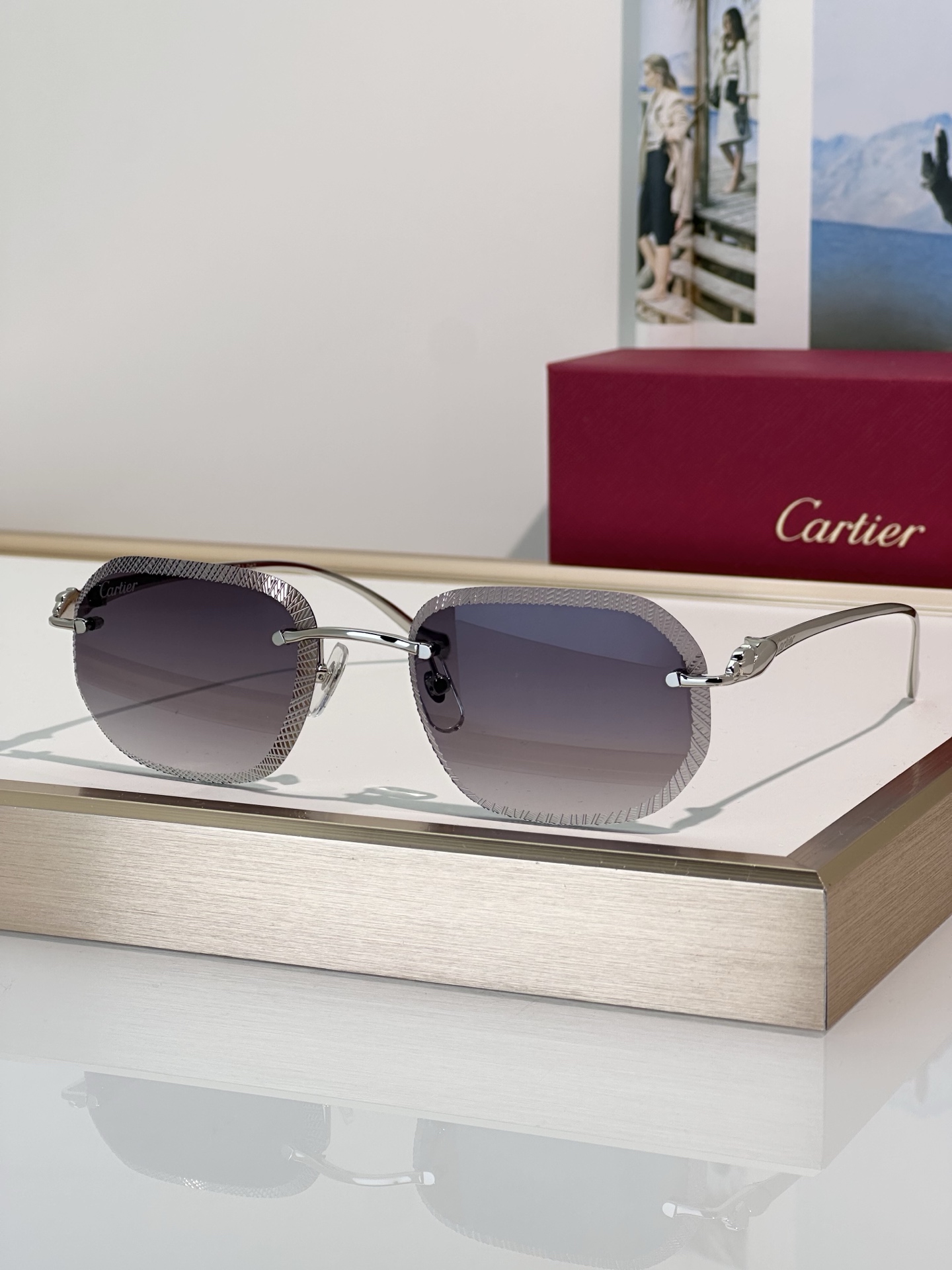 Designer Sunglasses CT0839S