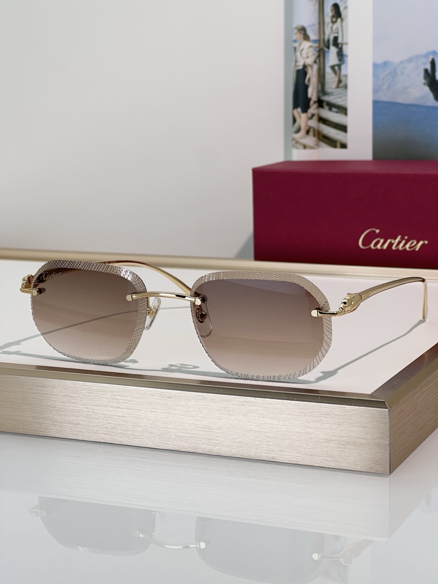 Designer Sunglasses CT0839S