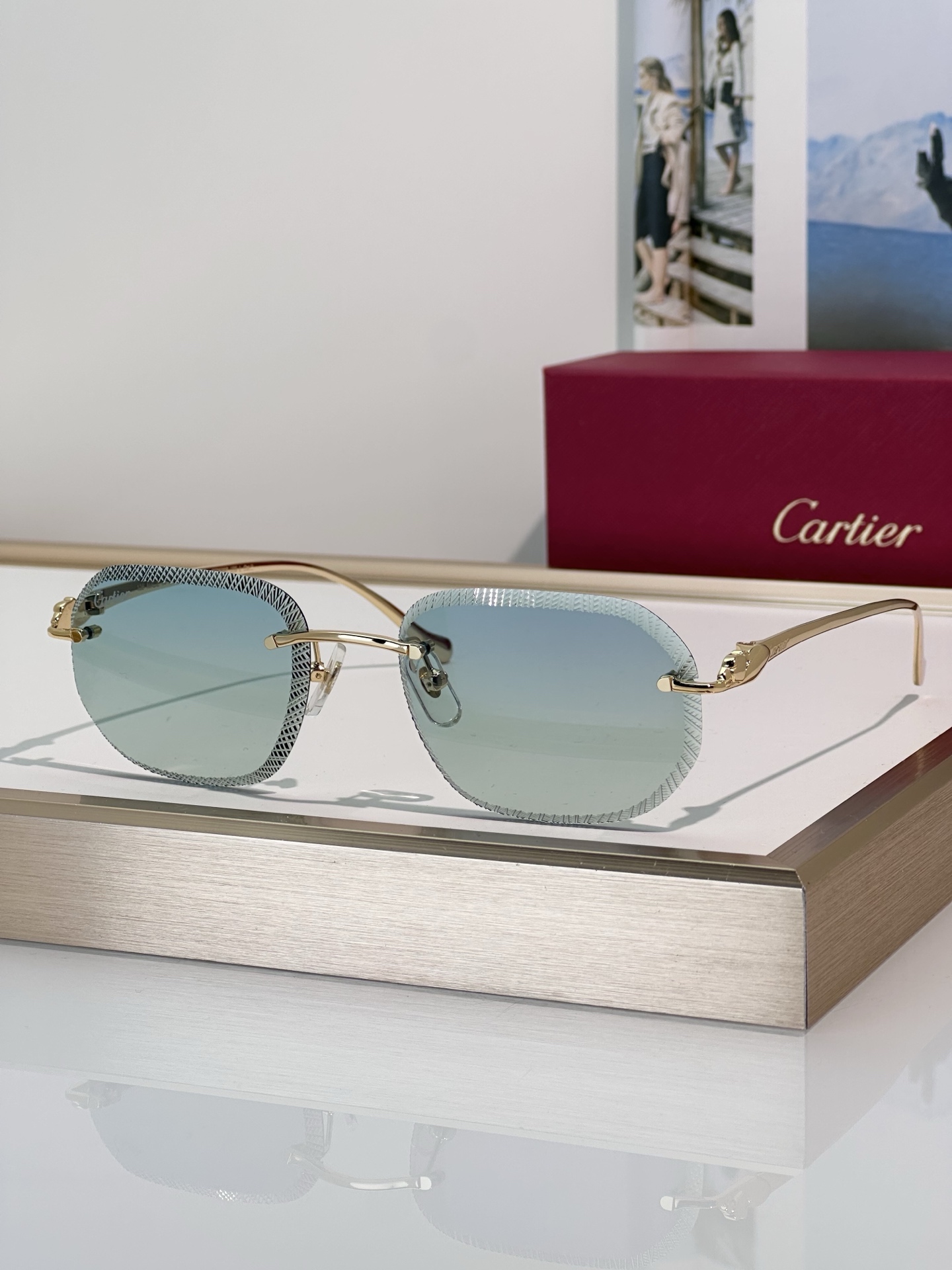 Designer Sunglasses CT0839S