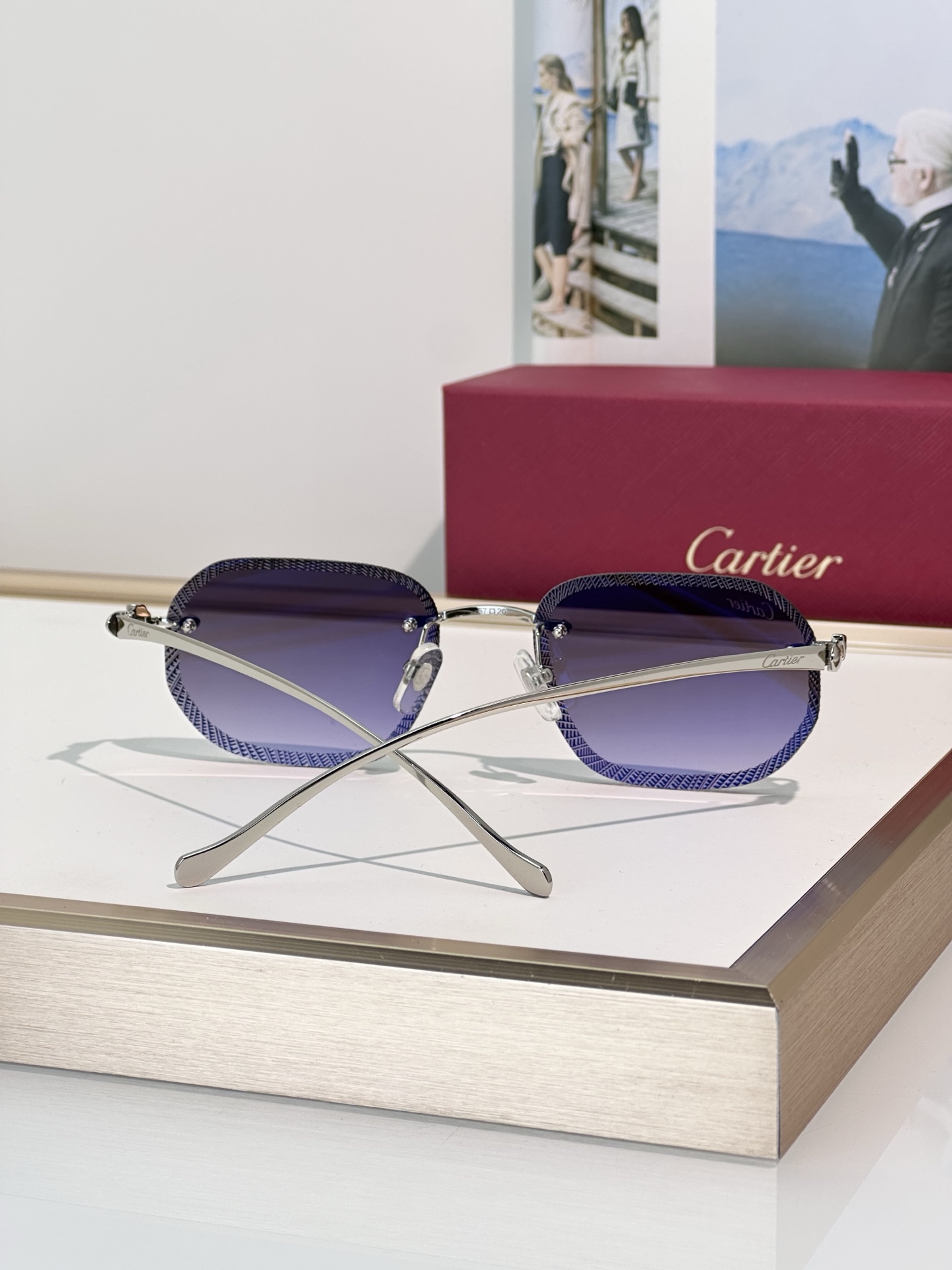 Designer Sunglasses CT0839S