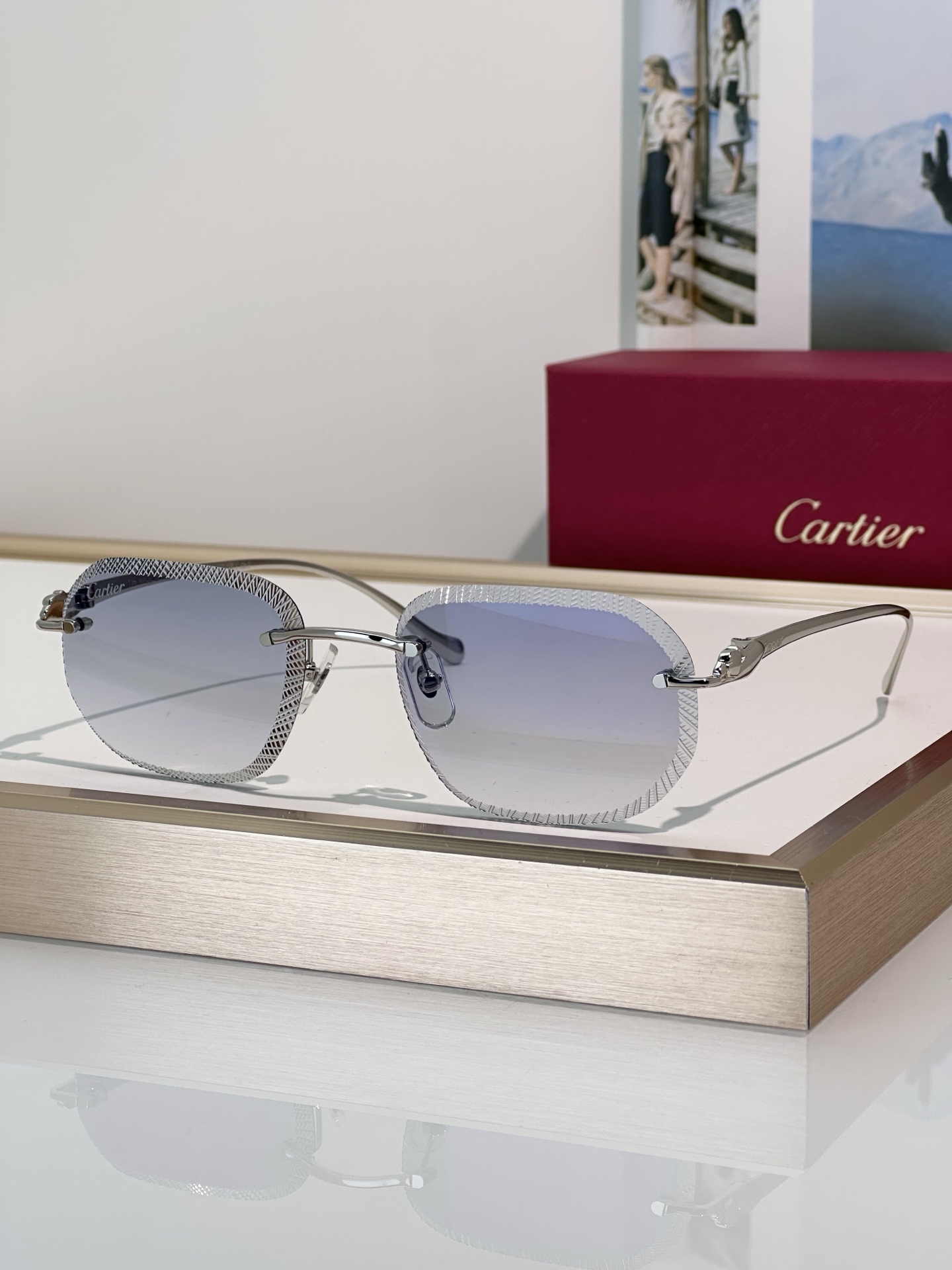 Designer Sunglasses CT0839S