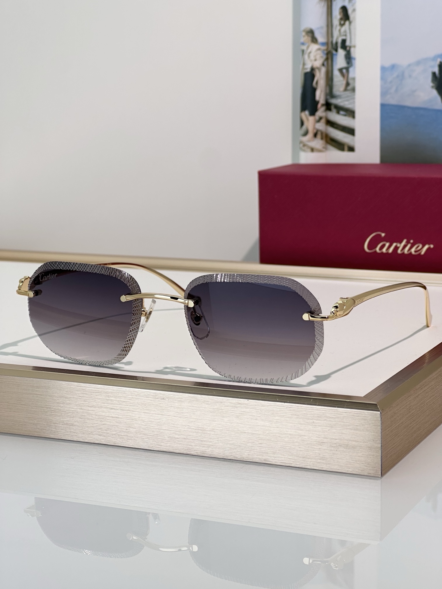 Designer Sunglasses CT0839S