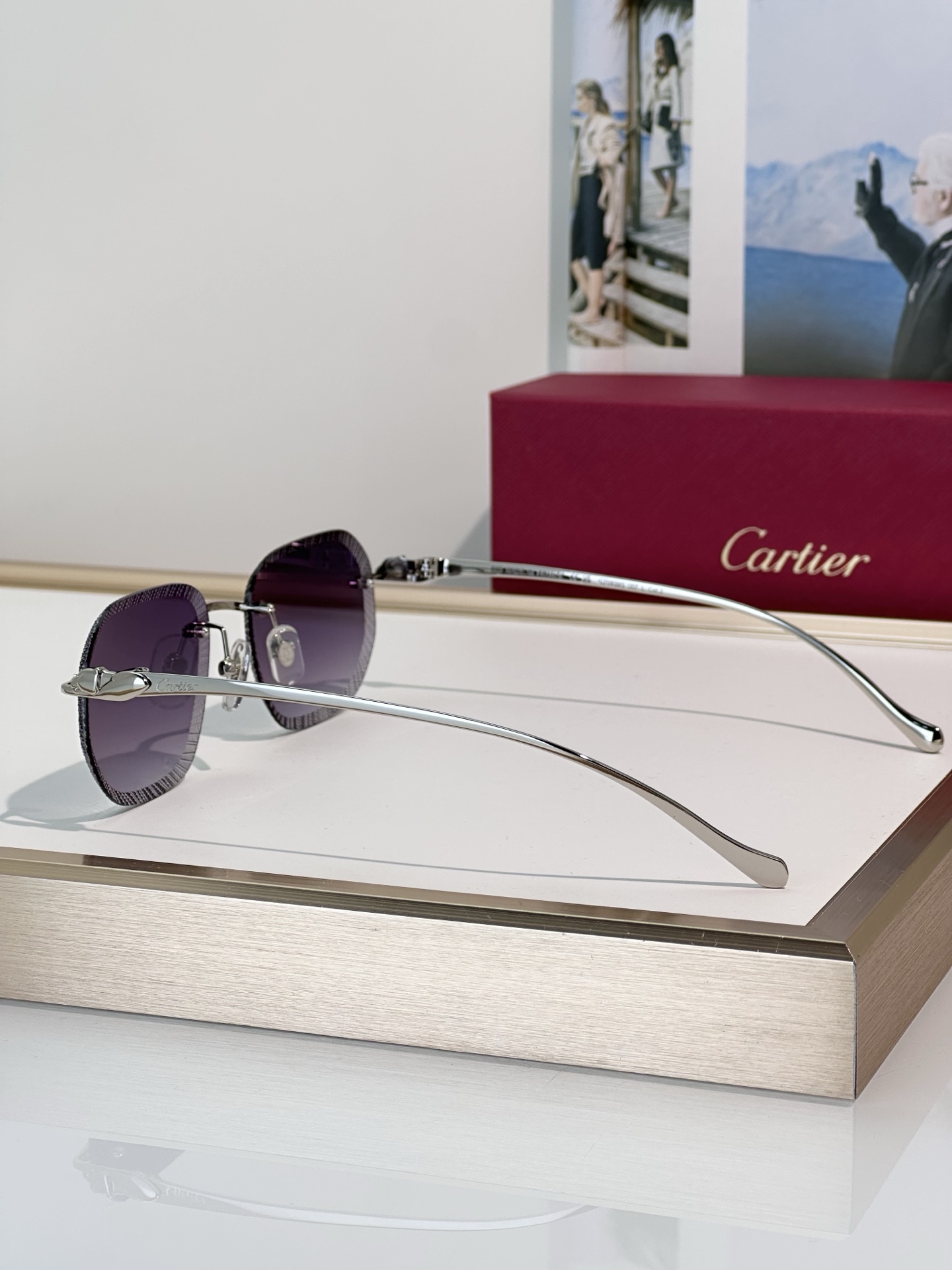 Designer Sunglasses CT0839S