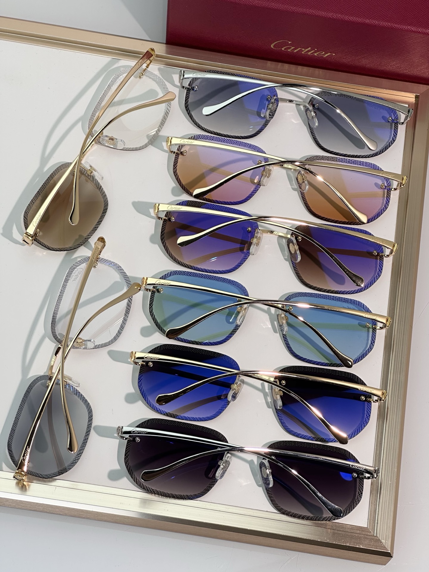 Designer Sunglasses CT0839S