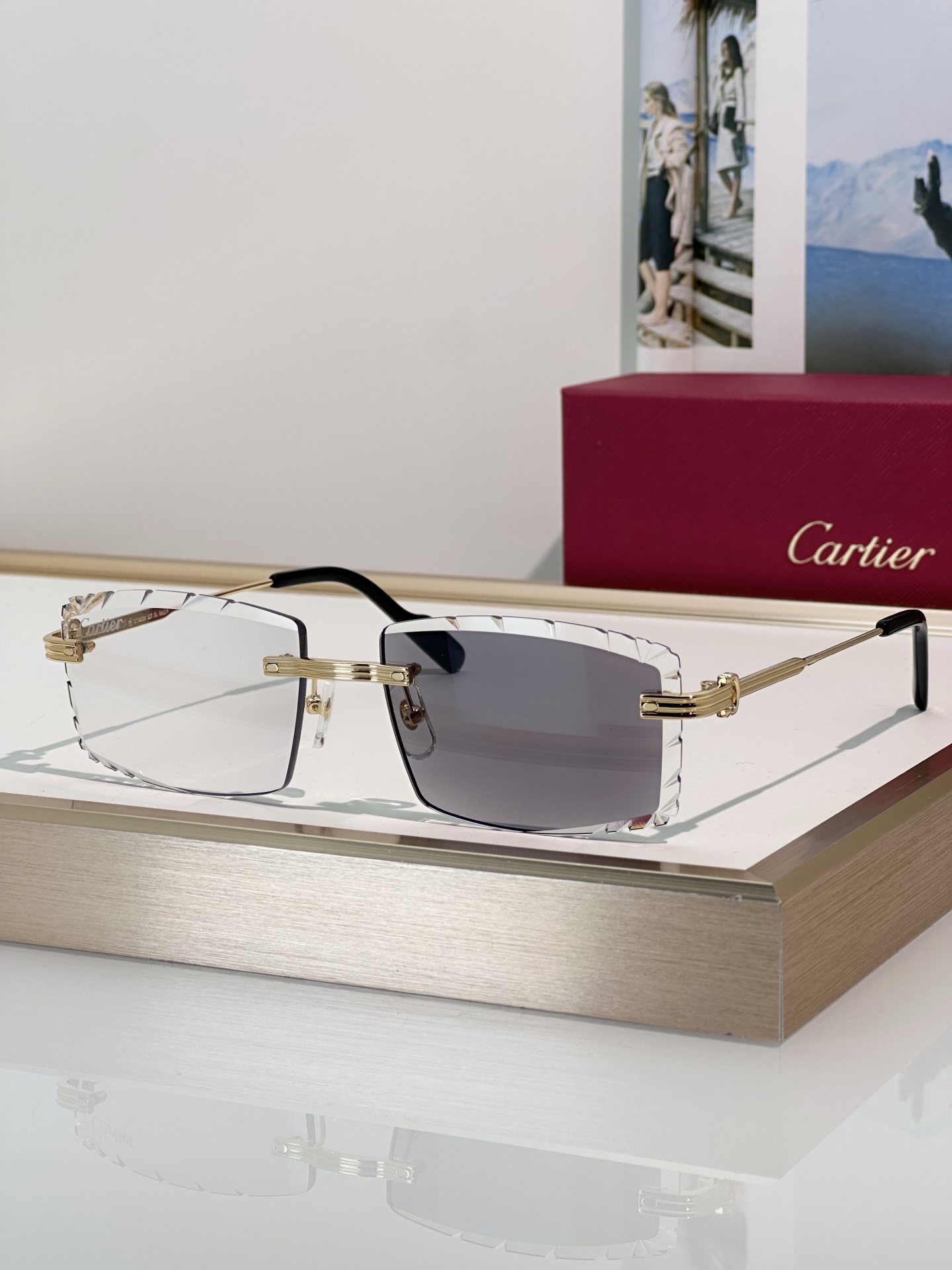 Designer Sunglasses CT0850S