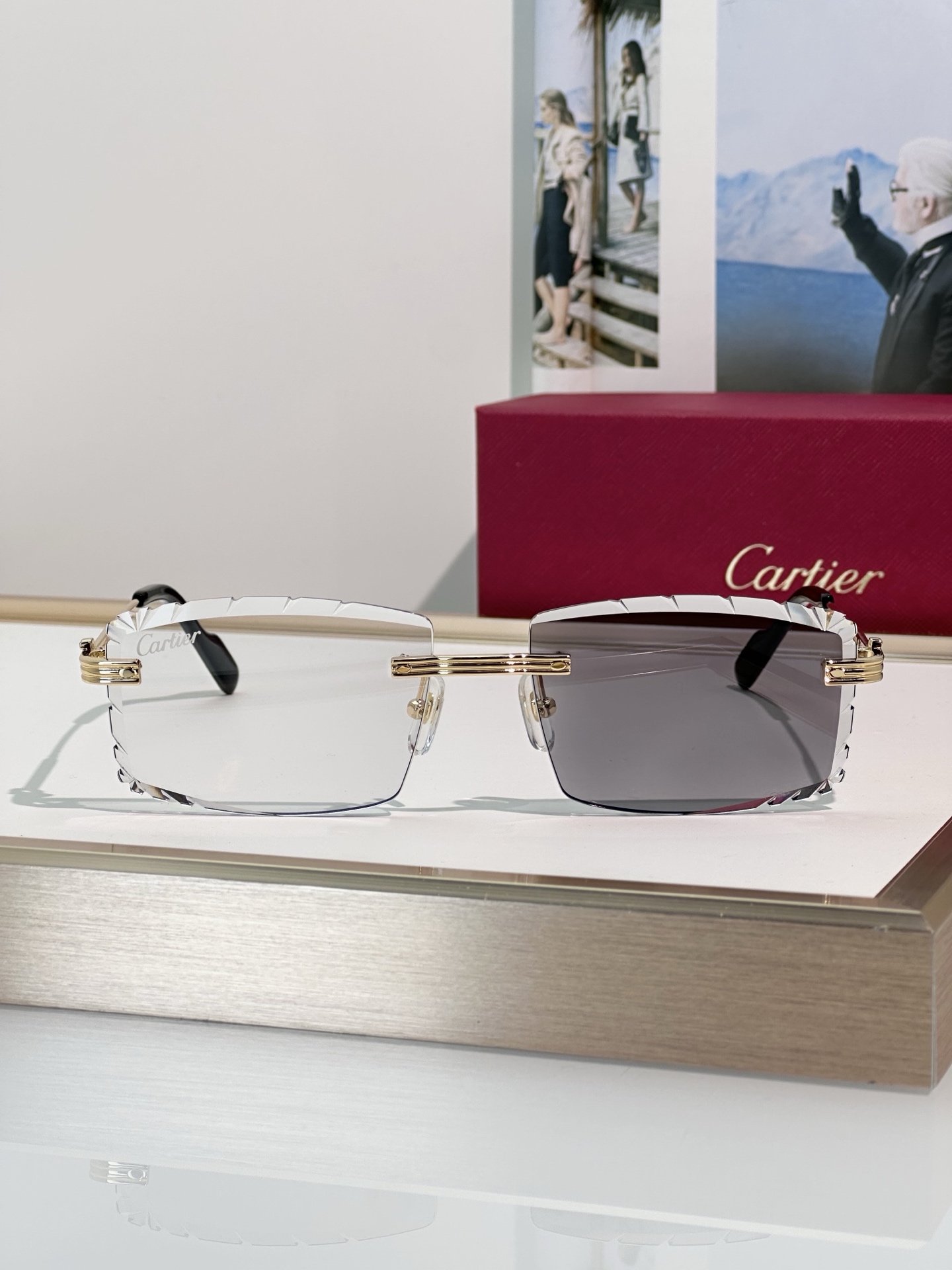 Designer Sunglasses CT0850S