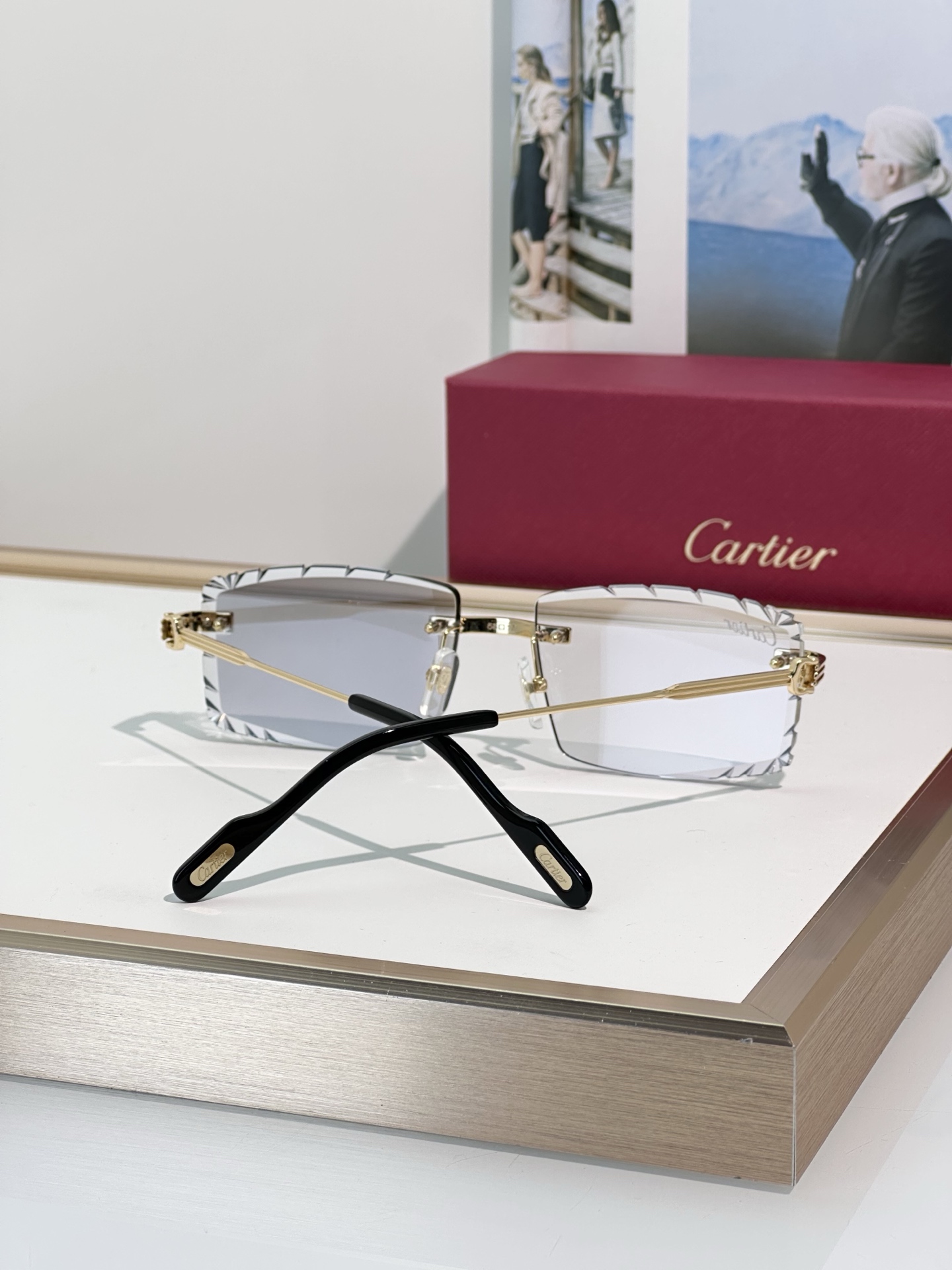 Designer Sunglasses CT0850S