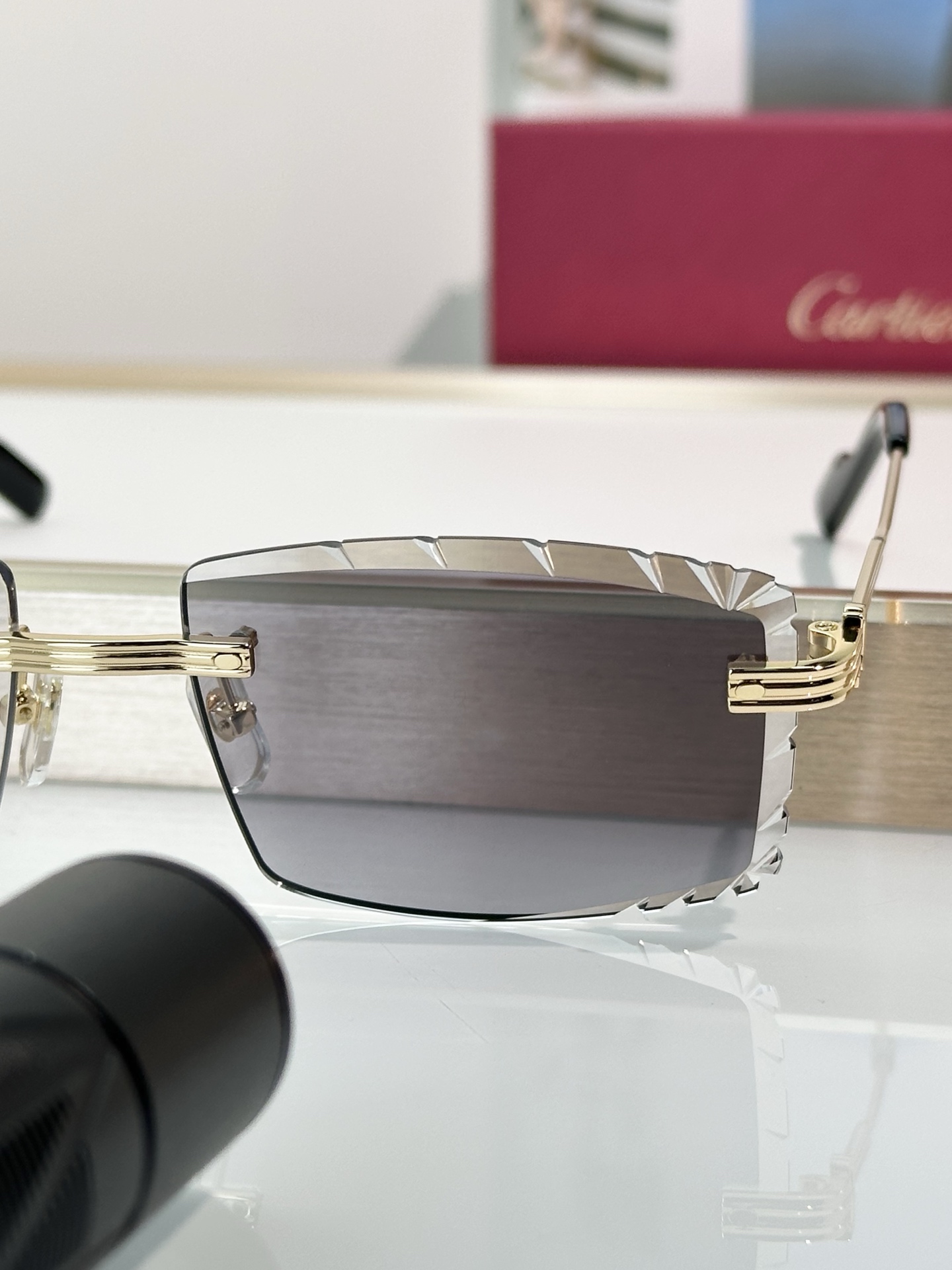Designer Sunglasses CT0850S