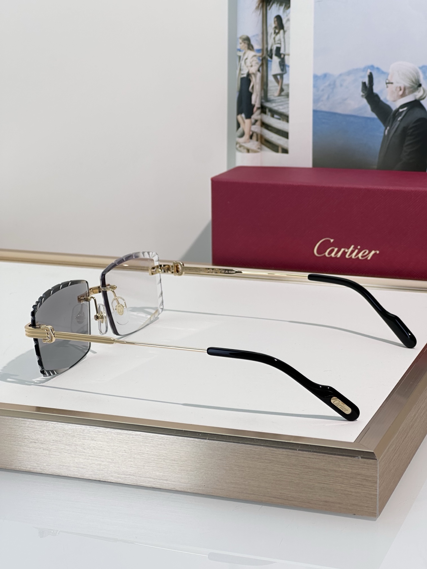 Designer Sunglasses CT0850S