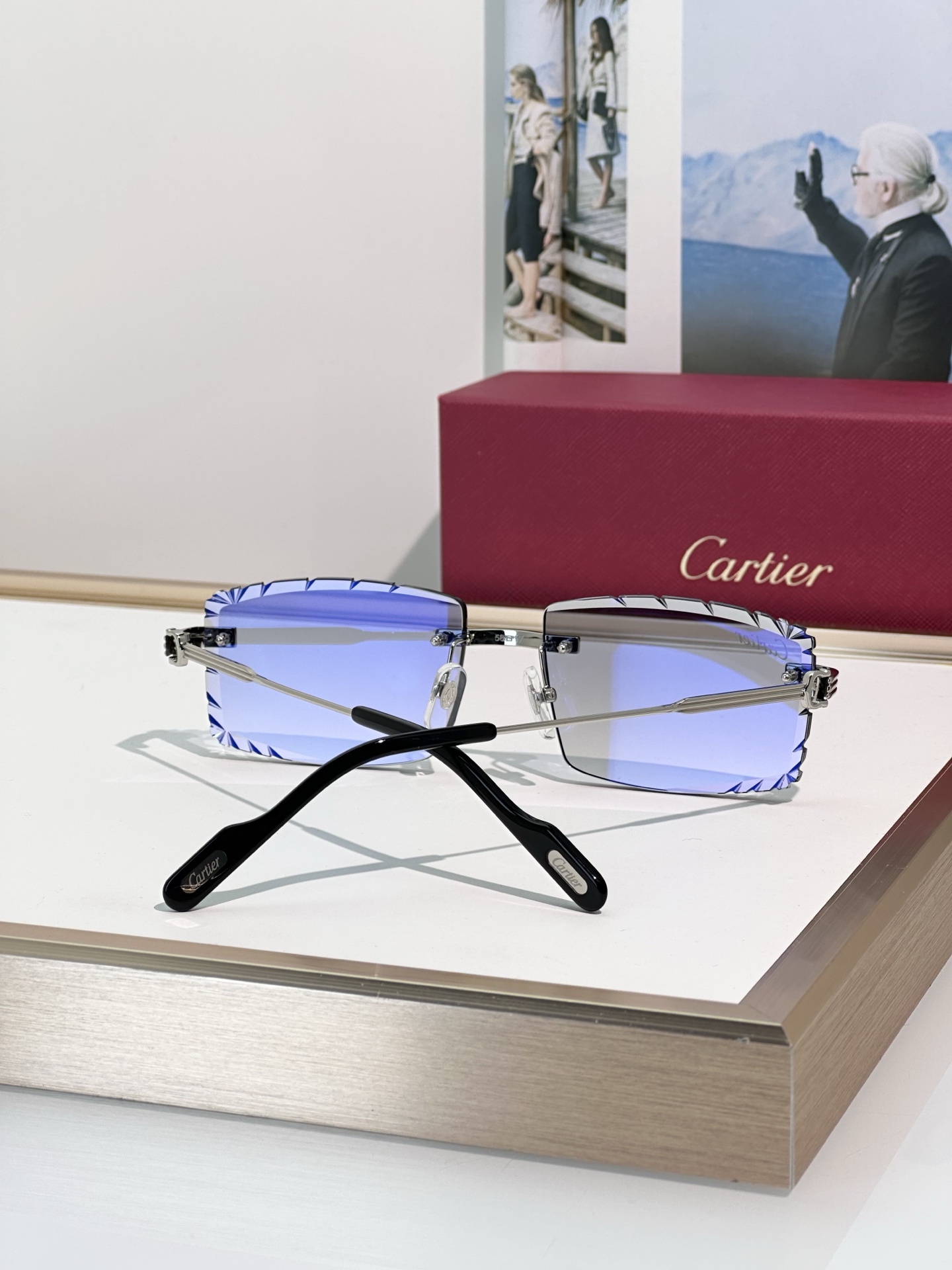 Designer Sunglasses CT0850S