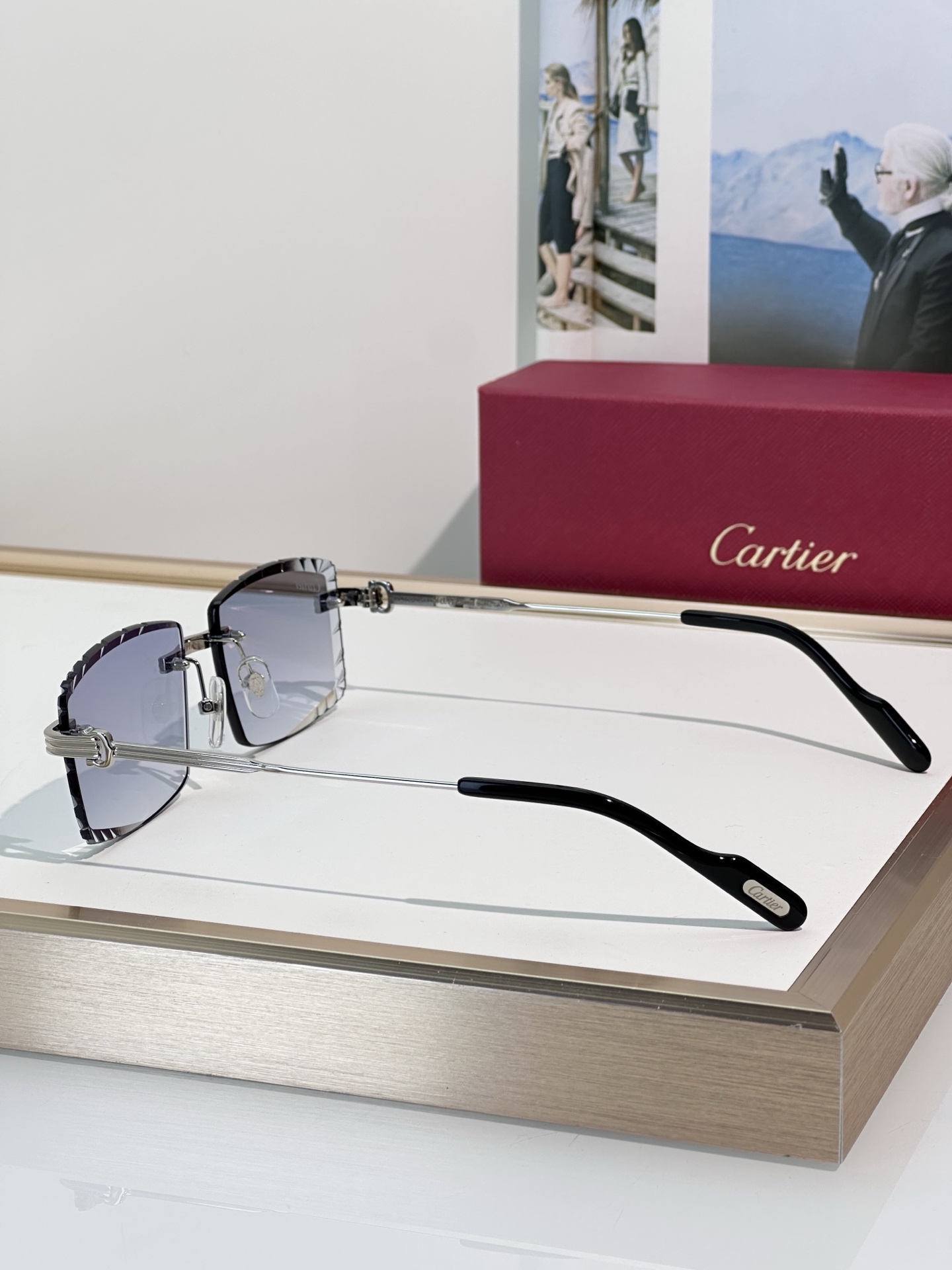 Designer Sunglasses CT0850S