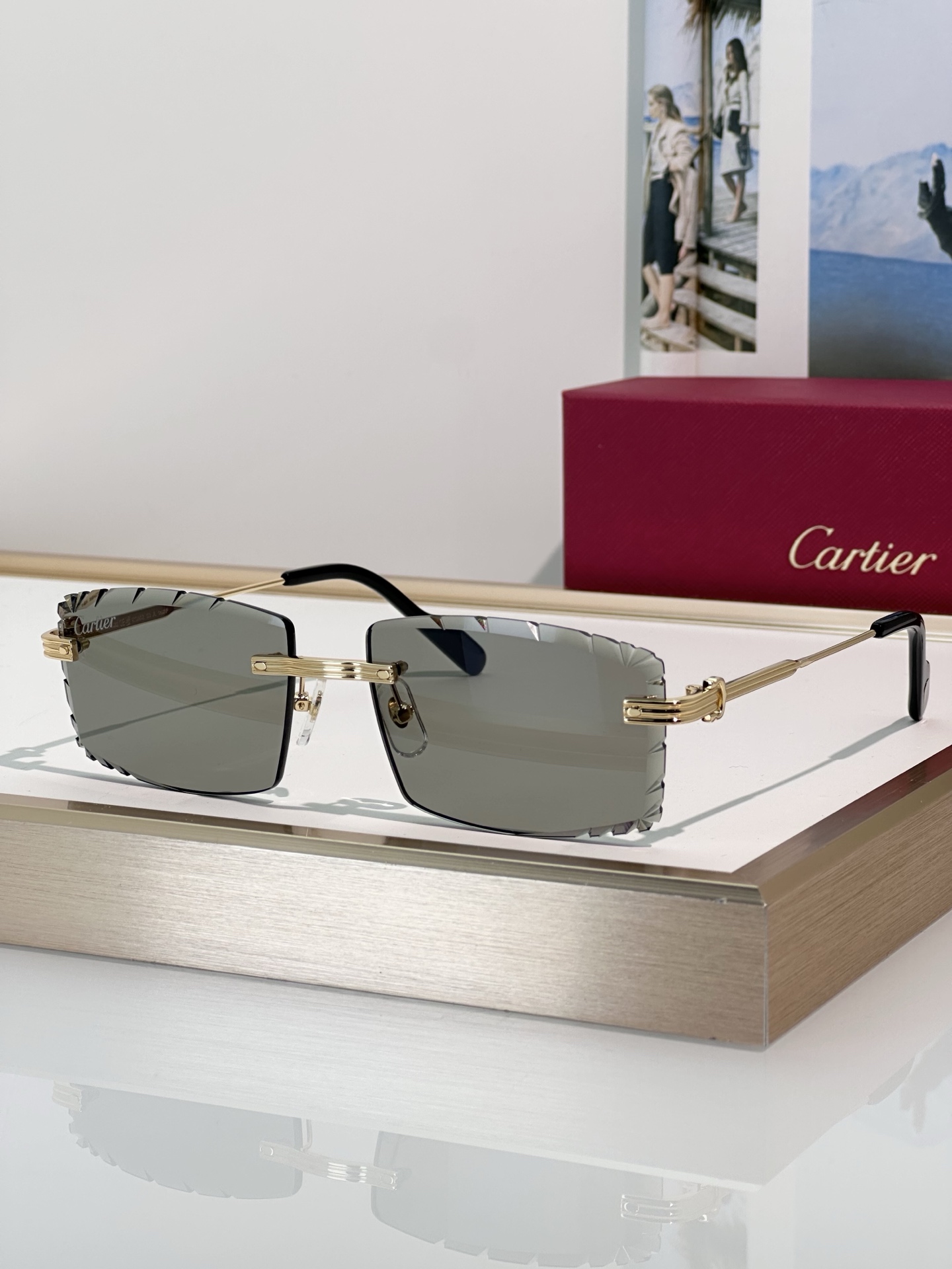 Designer Sunglasses CT0850S