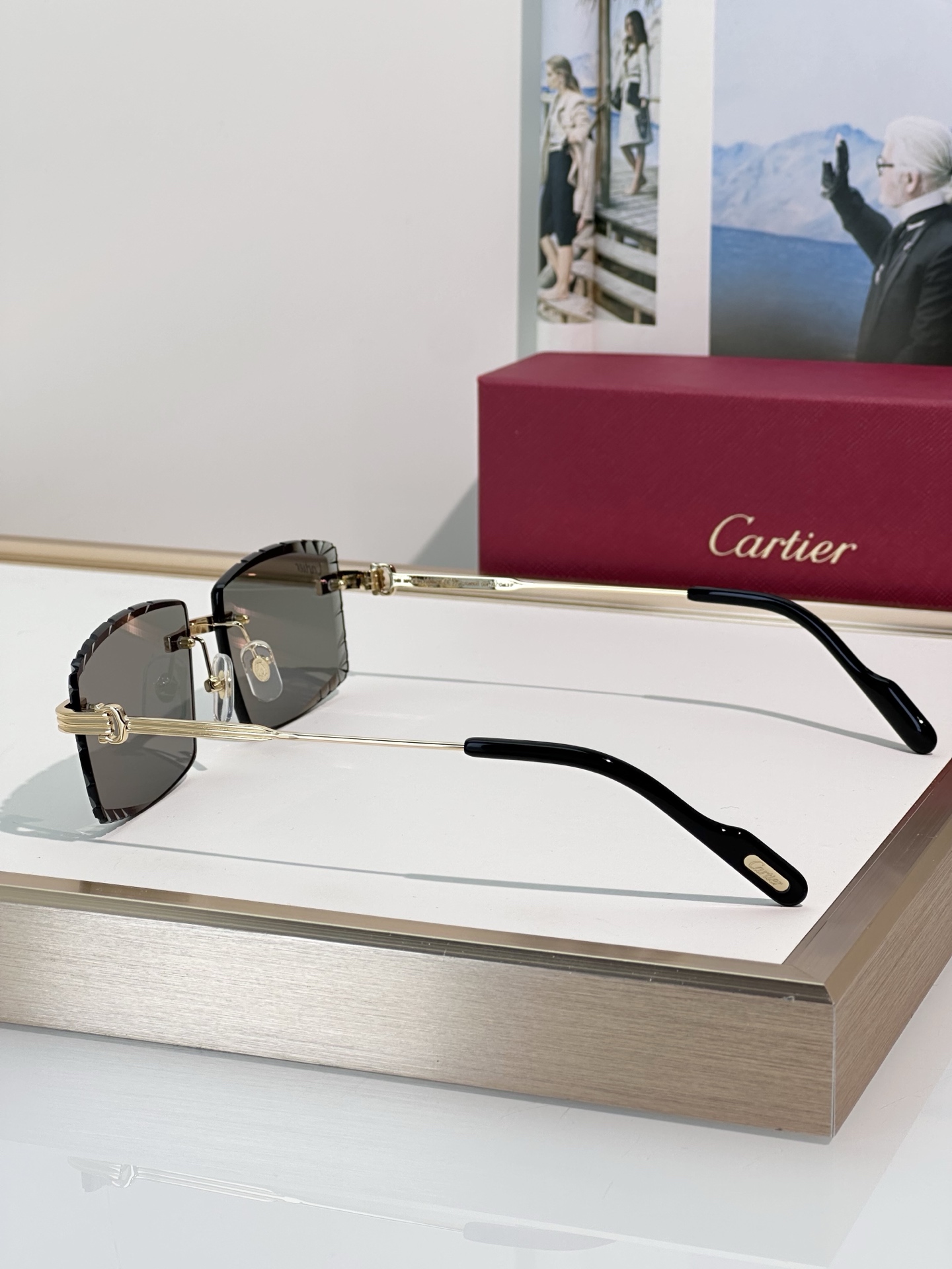Designer Sunglasses CT0850S