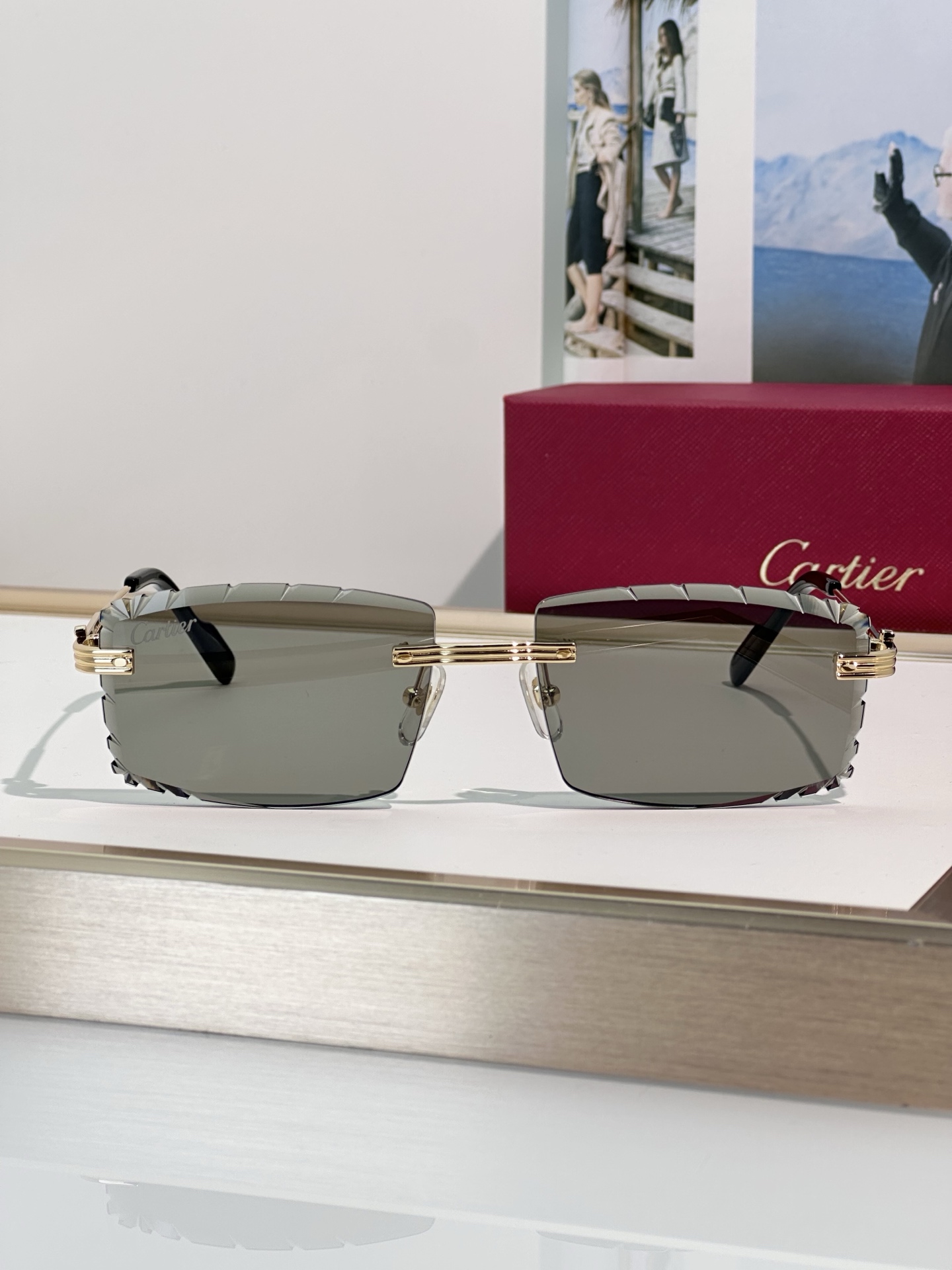 Designer Sunglasses CT0850S