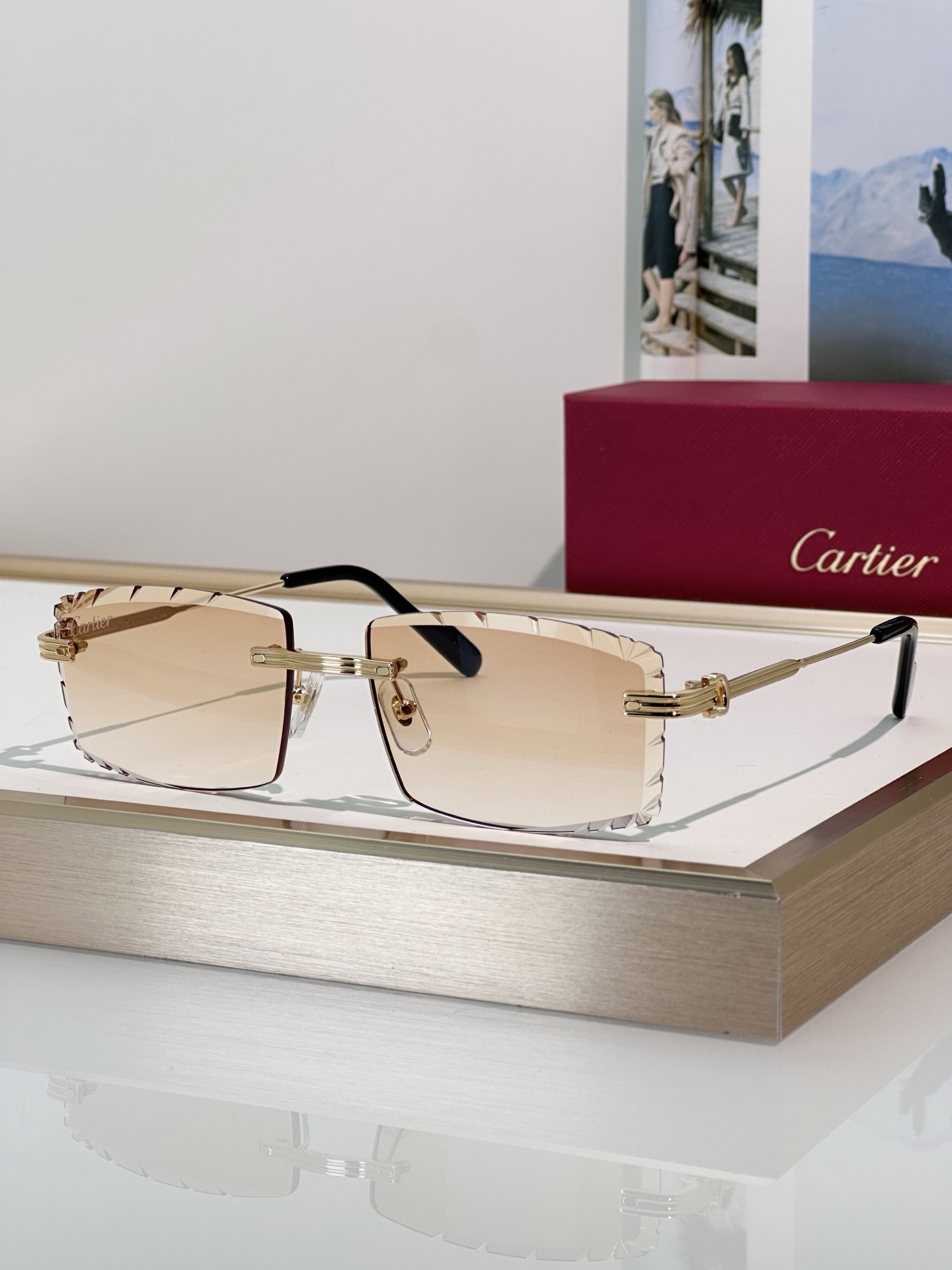 Designer Sunglasses CT0850S